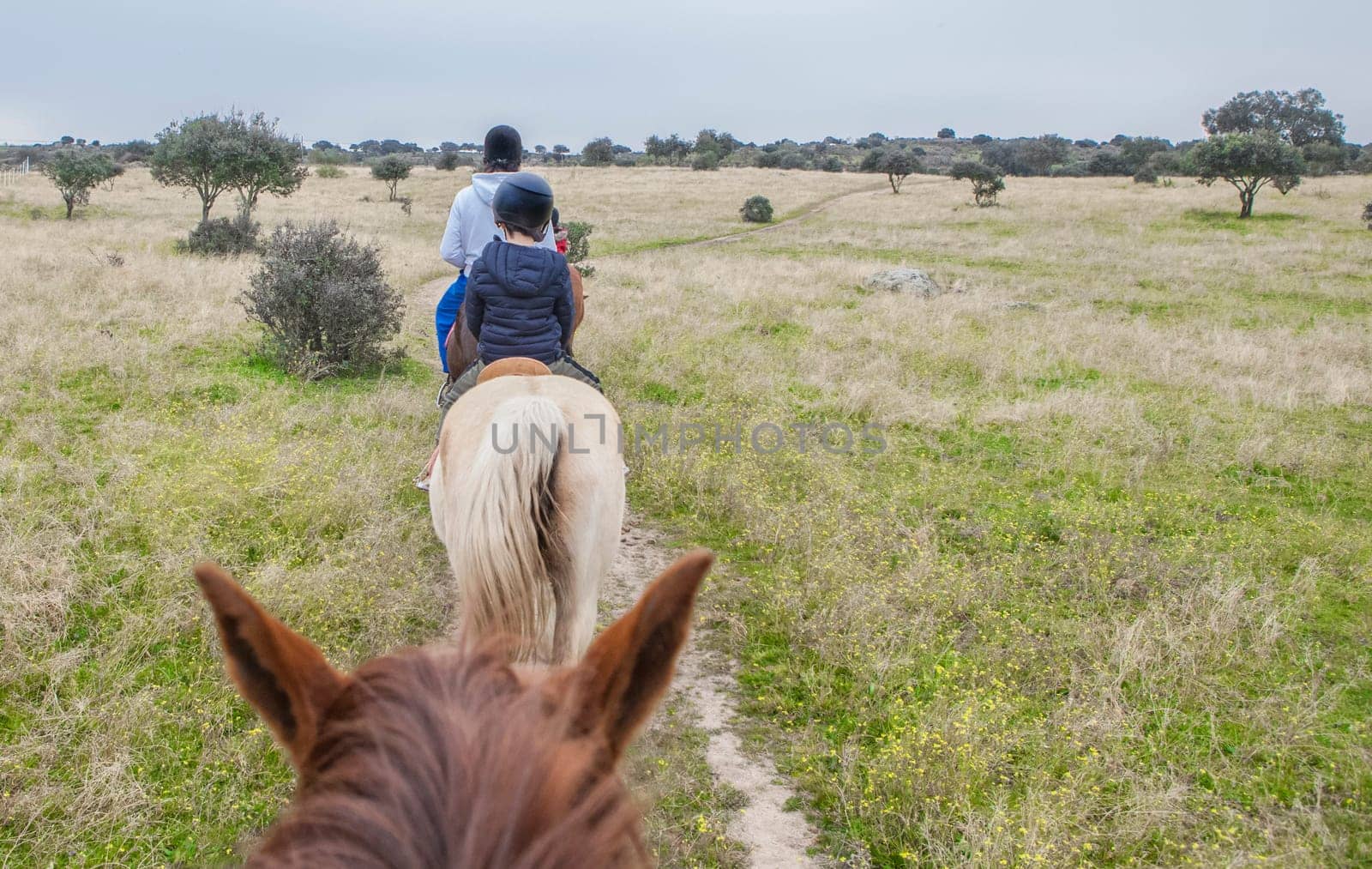 Horse riding route through Dehesa contryside. Scene viewed from horseback