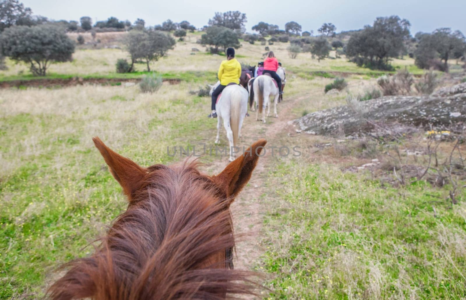 Horse riding route through Dehesa contryside. Scene viewed from horseback