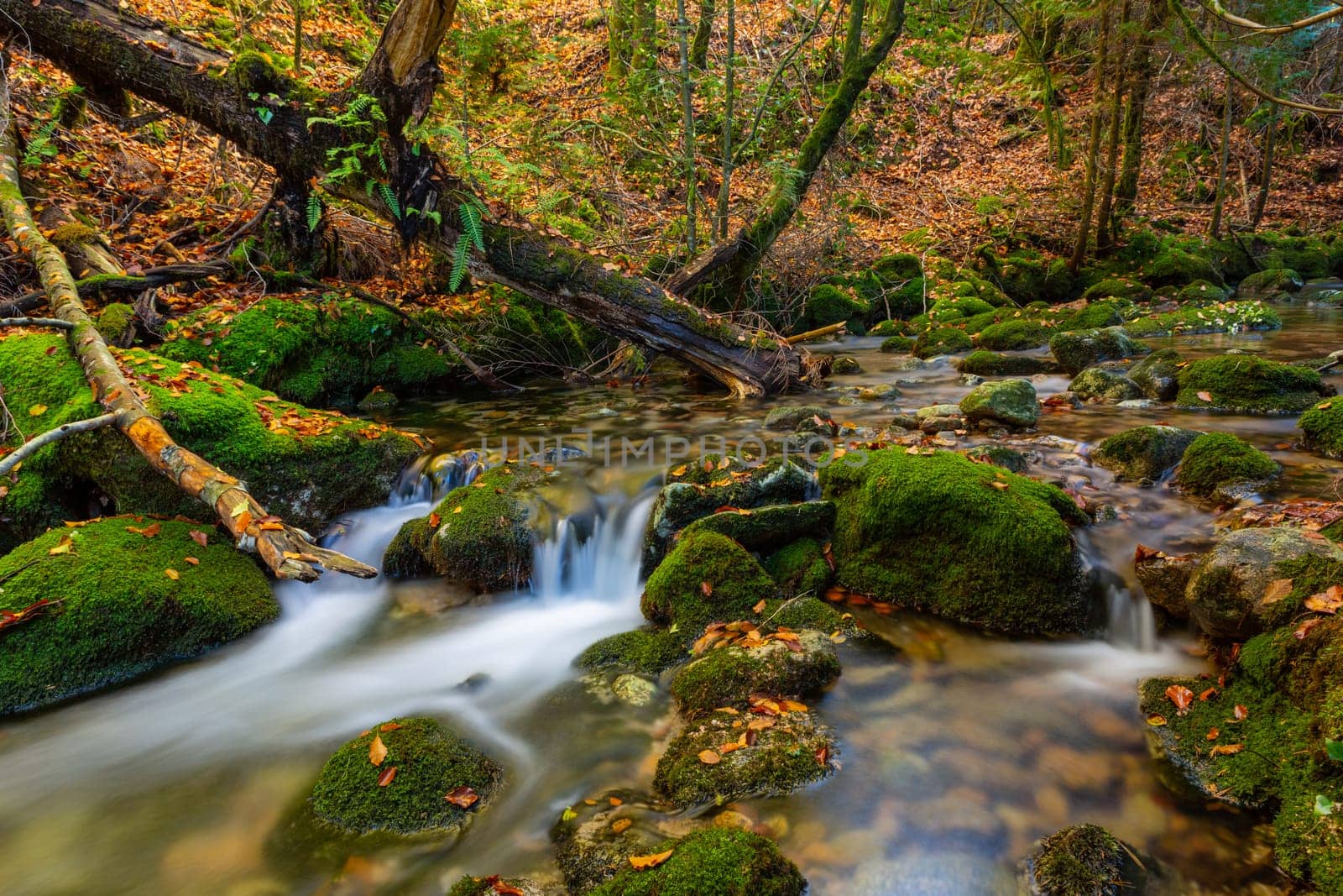 River waterfall in the portuguese national park of Geres, in the north of the country