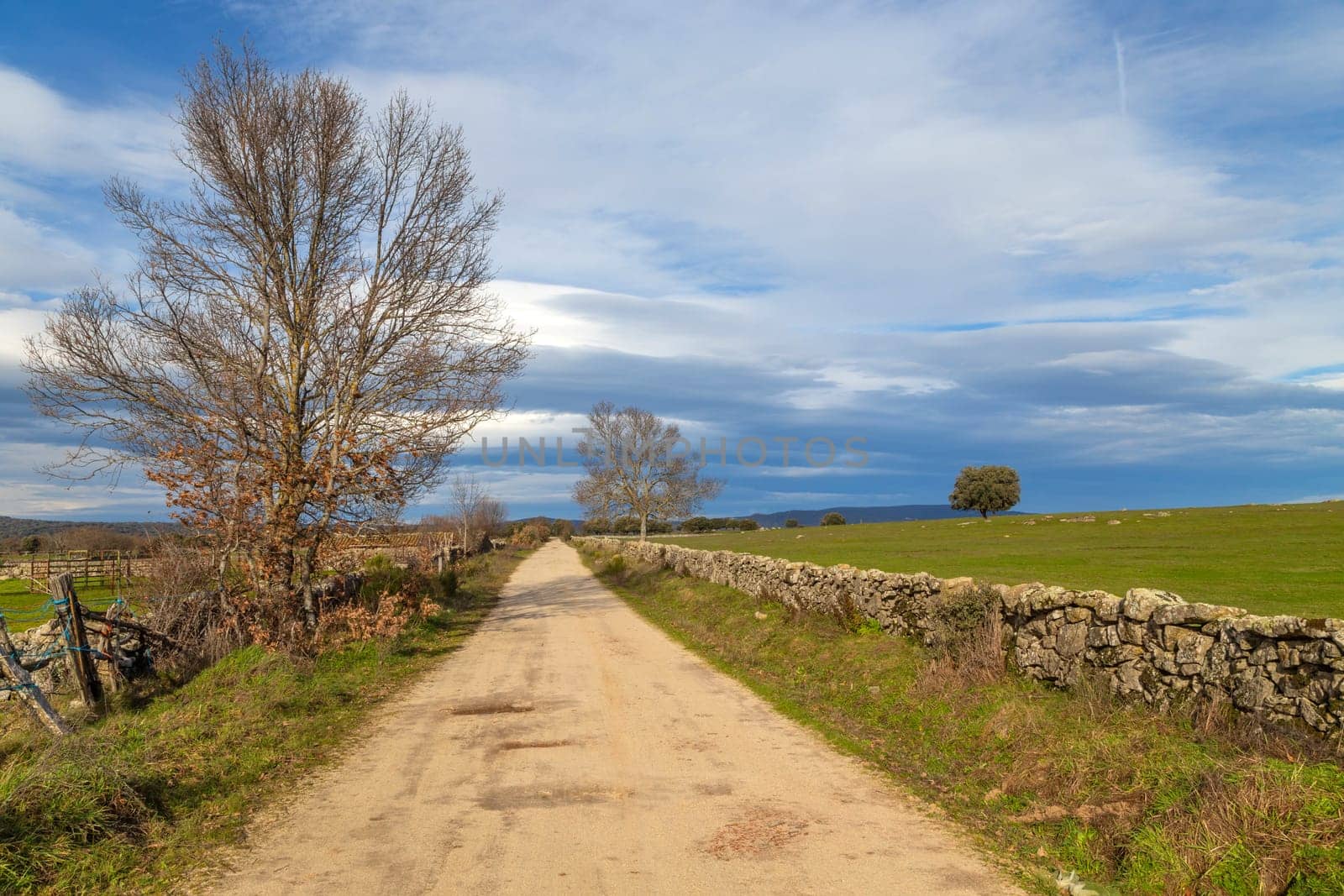 Via de la Plata way (Silver Way) to Santiago in Extremadura. Spain