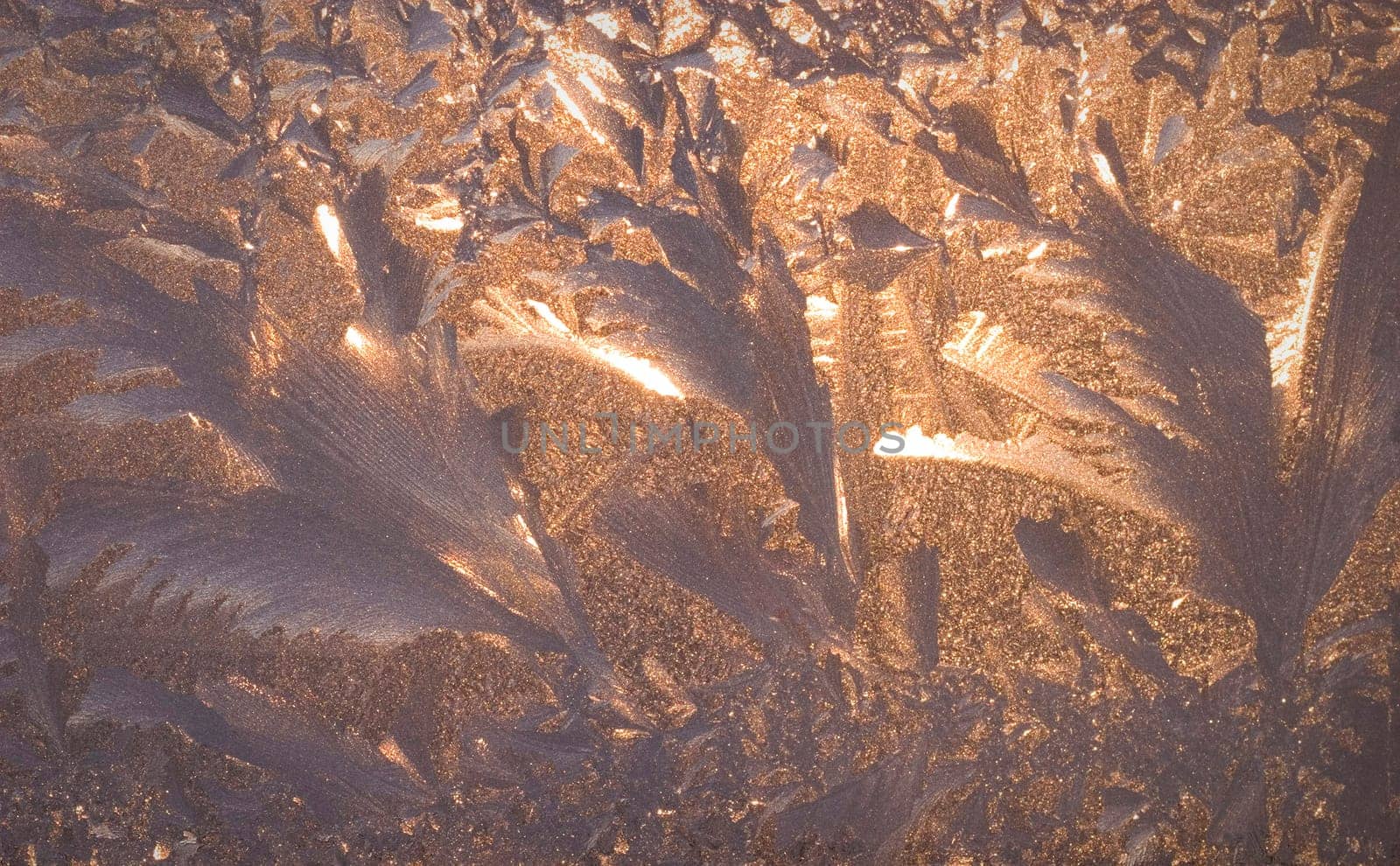 Frost on the window.