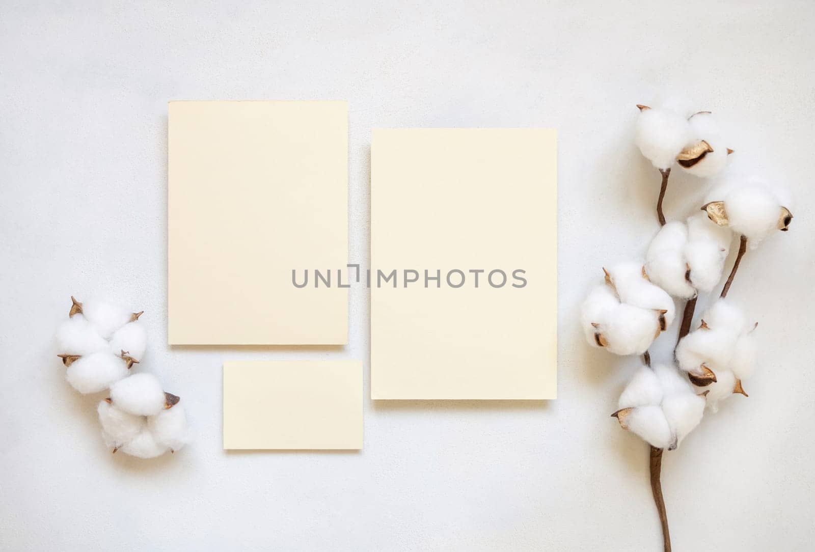 Blank paper cards with cotton flowers top view on white, mockup. Romantic scene with wedding or greeting cards set.