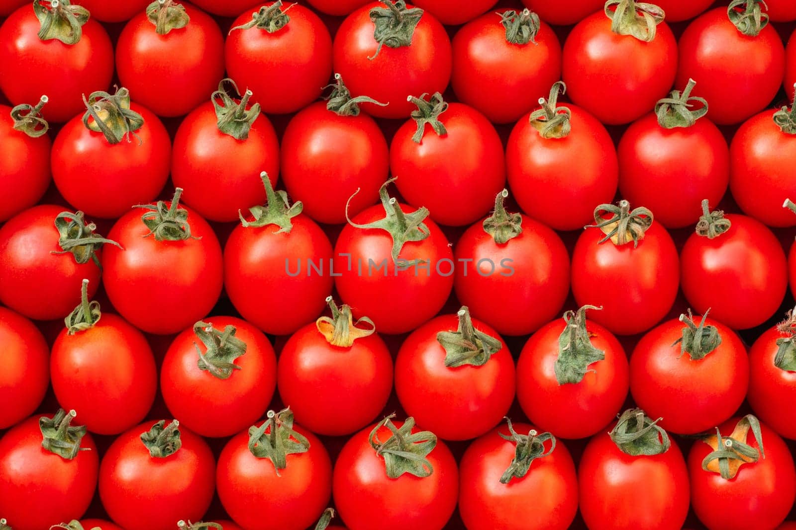 Background image of lying rows of red ripe cherry tomatoes. Top view. Flat lay. Copy space