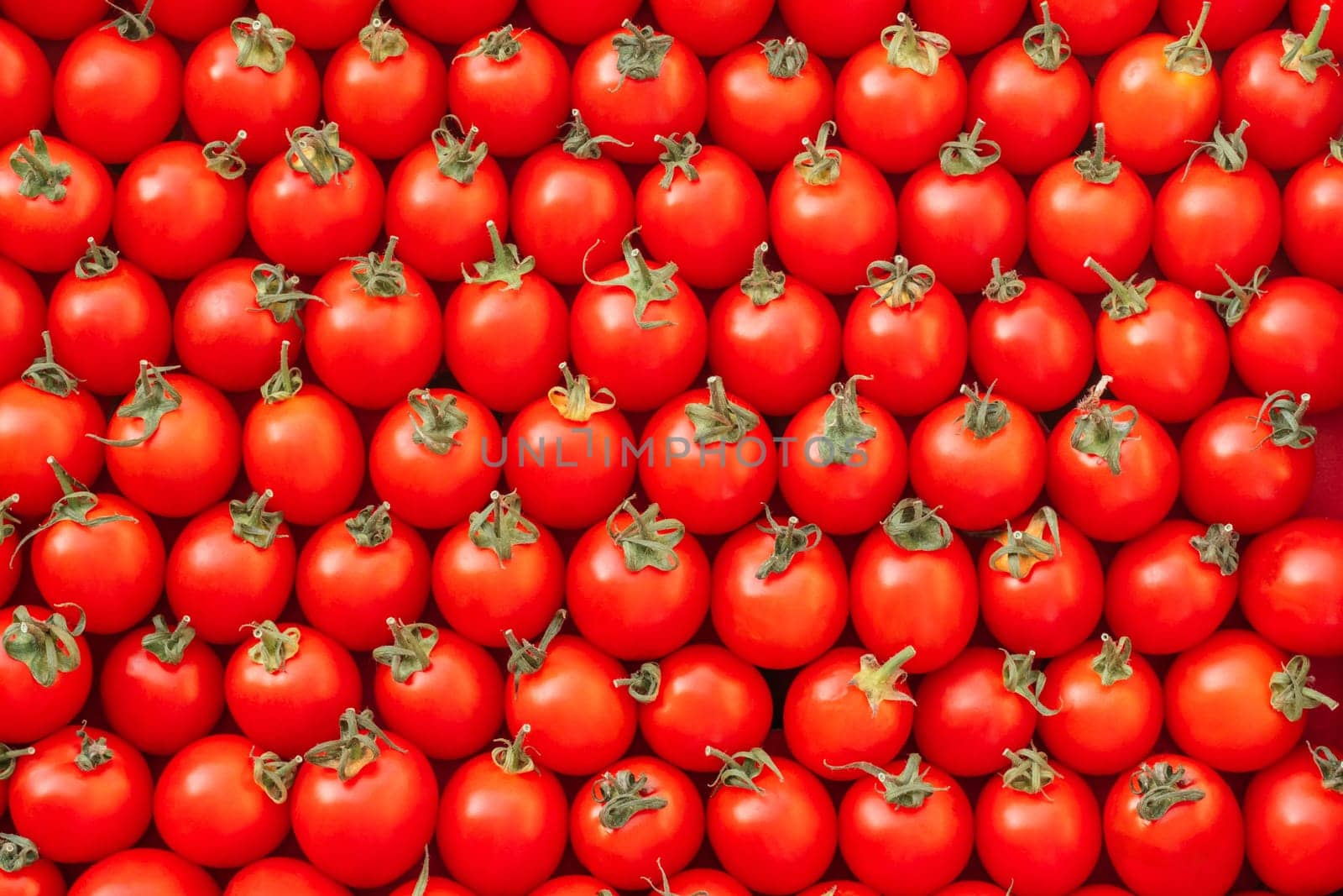 Background image of lying rows of red ripe cherry tomatoes. Top view. Flat lay. Copy space