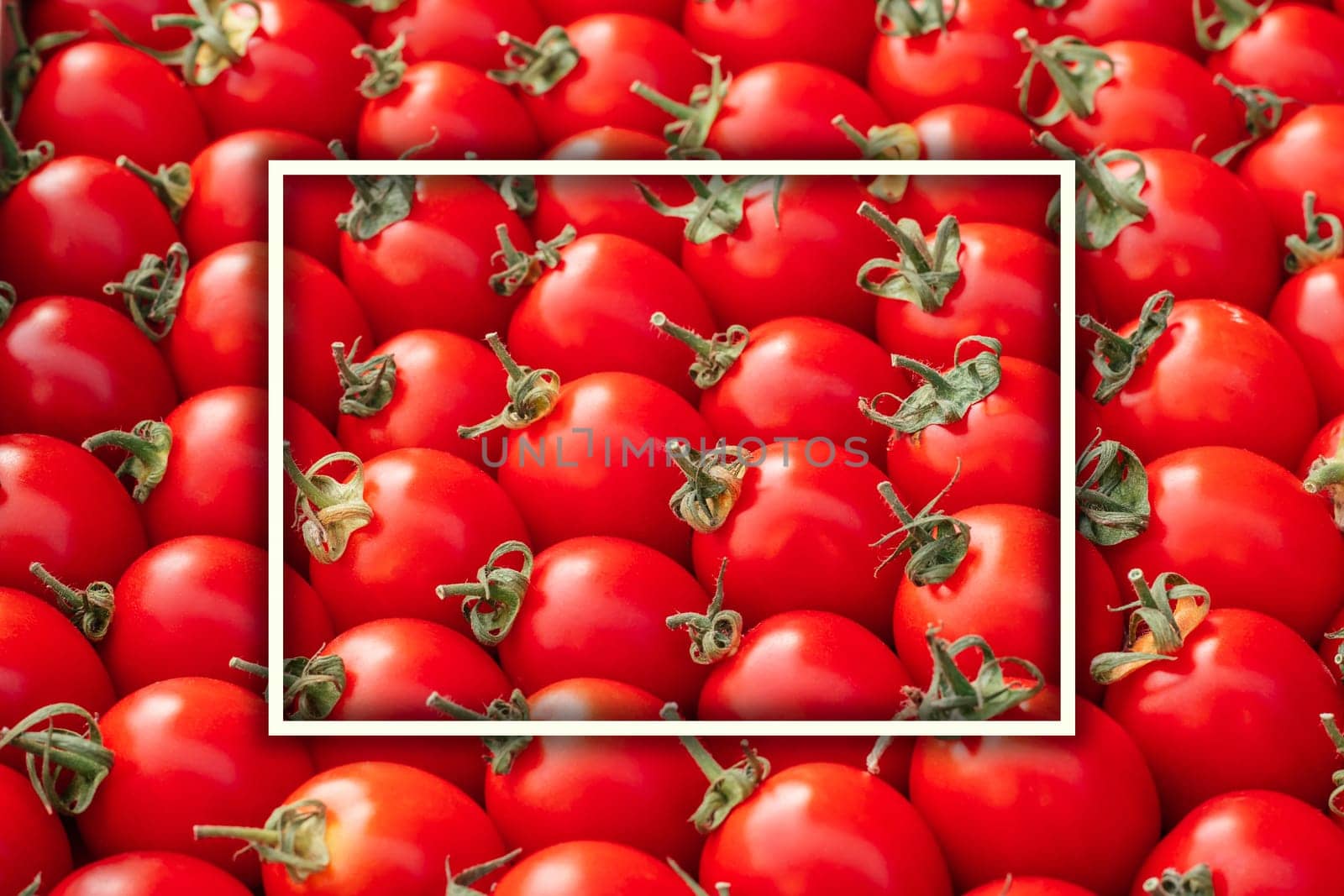 Background image of lying rows of red ripe cherry tomatoes with white rectangular frame. Top view. Flat lay. Copy space