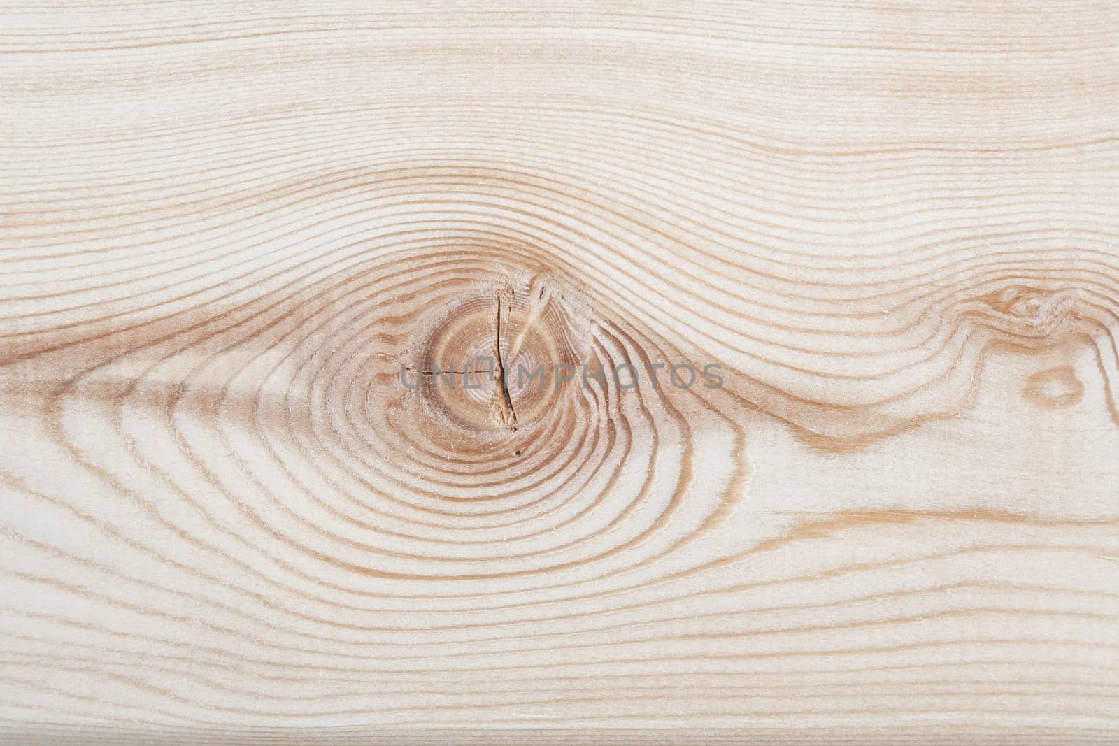 Background texture. Surface of a larch edged board with knot on cut. Wood texture. Top view, copy space.