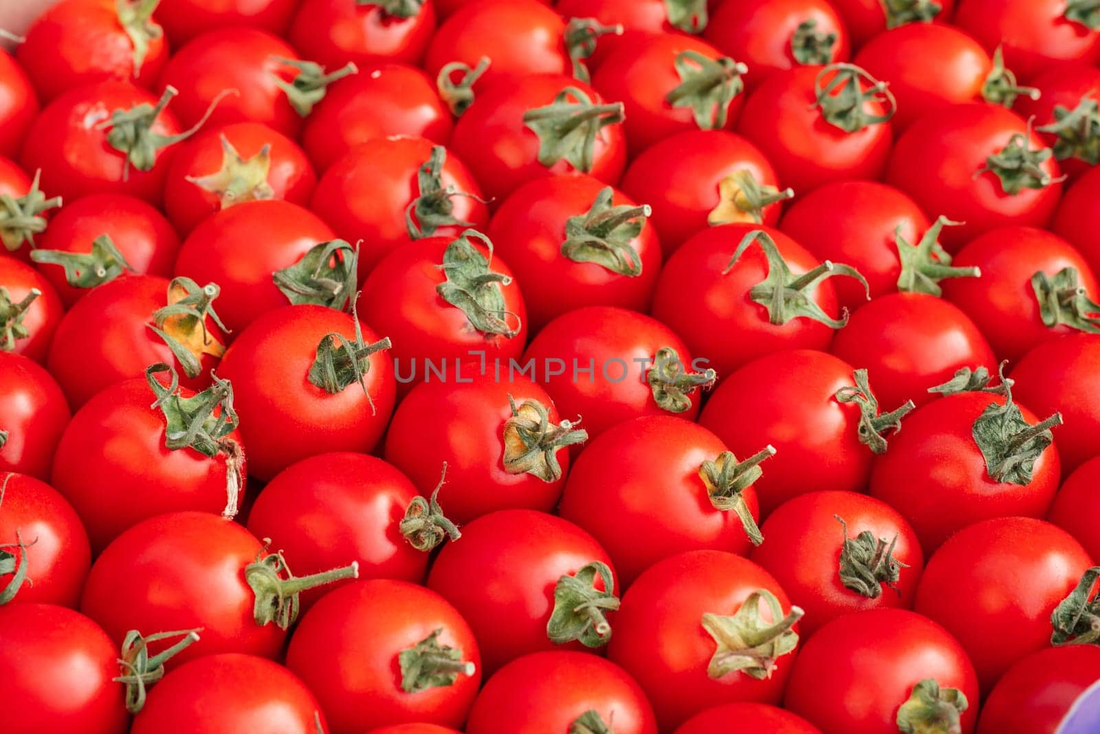 Background image of lying rows of red ripe cherry tomatoes. Top view. Flat lay. Copy space