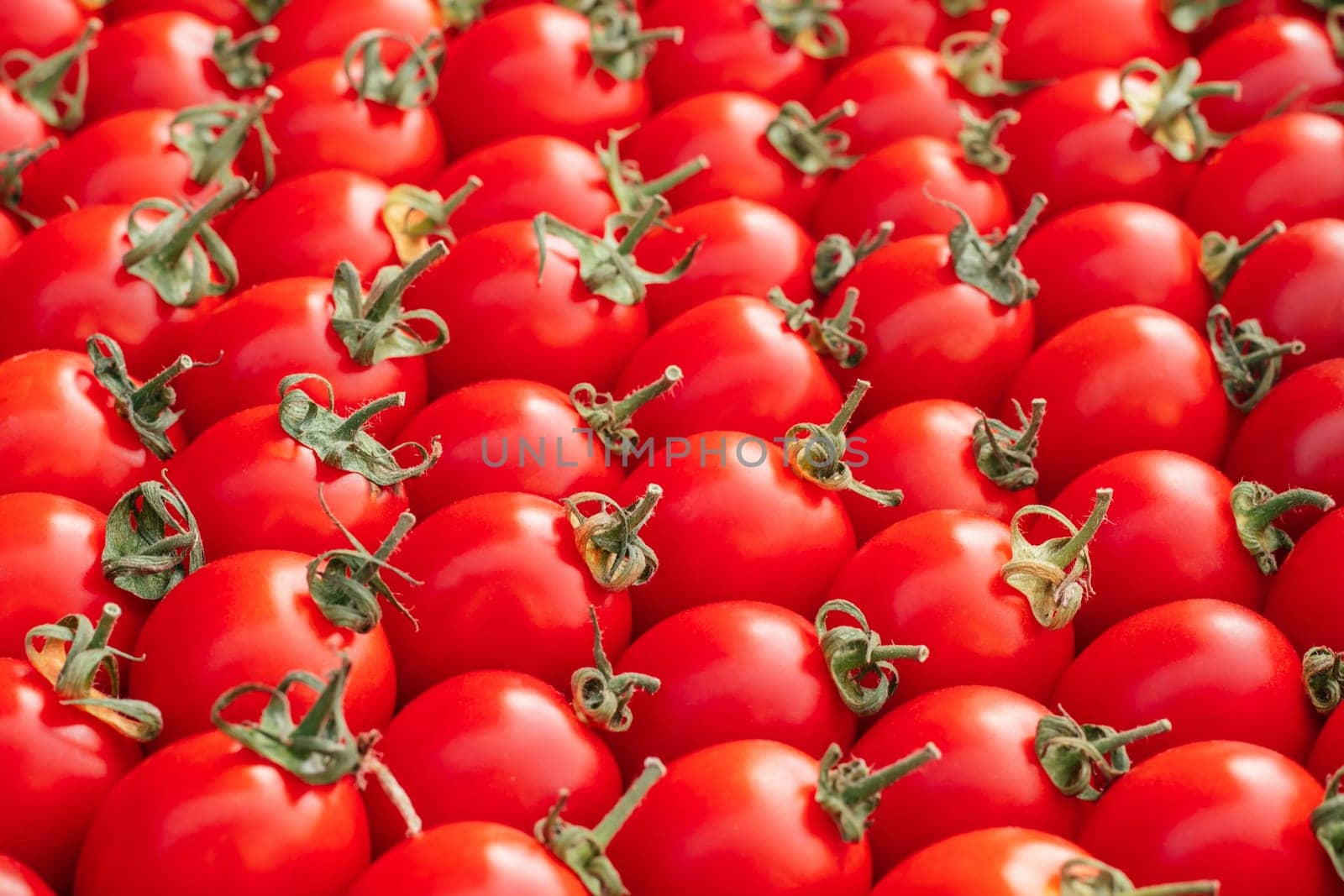 Background image of lying rows of red ripe cherry tomatoes. Top view. Flat lay. Copy space