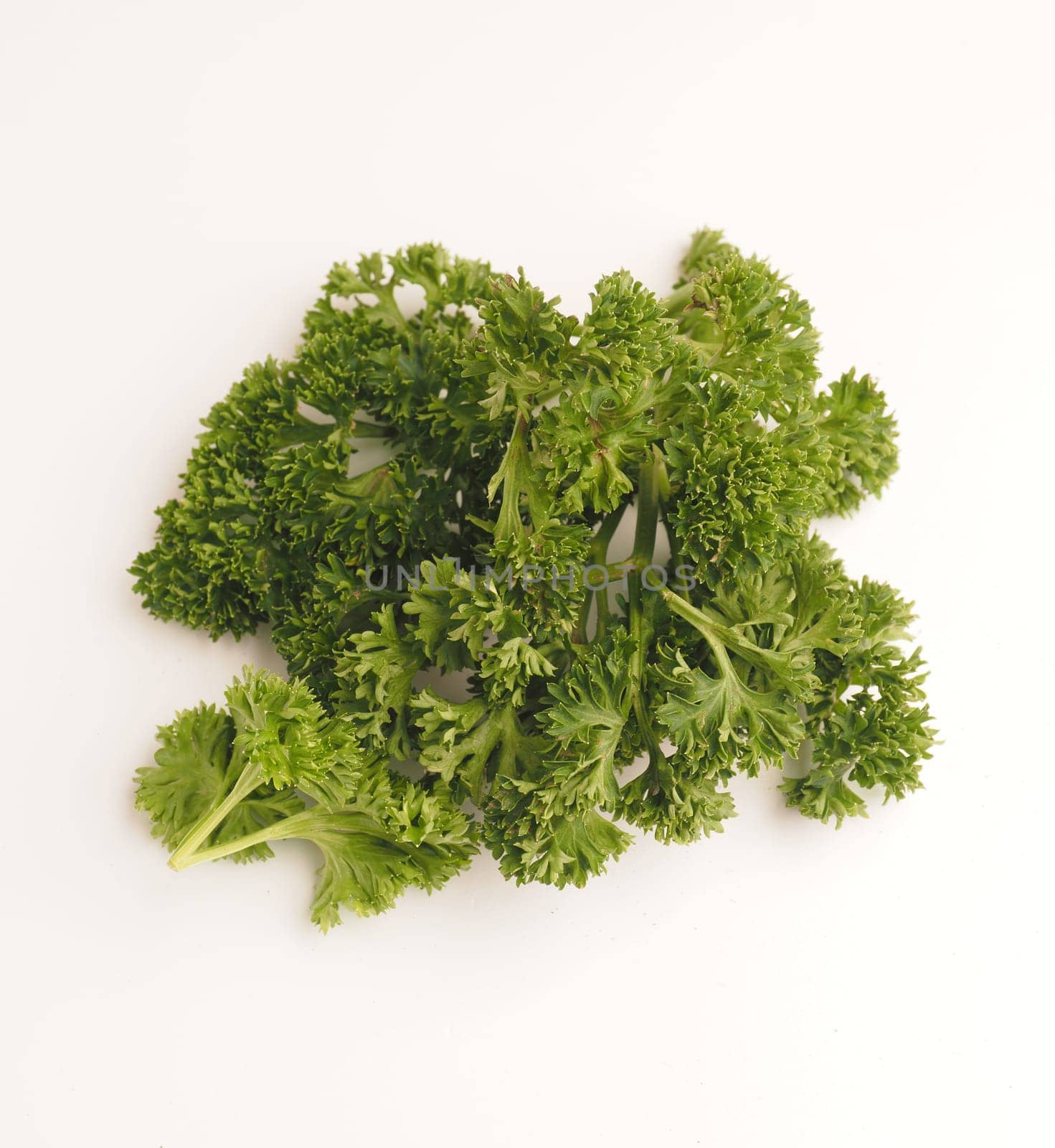 Tasty curly parsley on a white background, healthy food, spicy ingredients