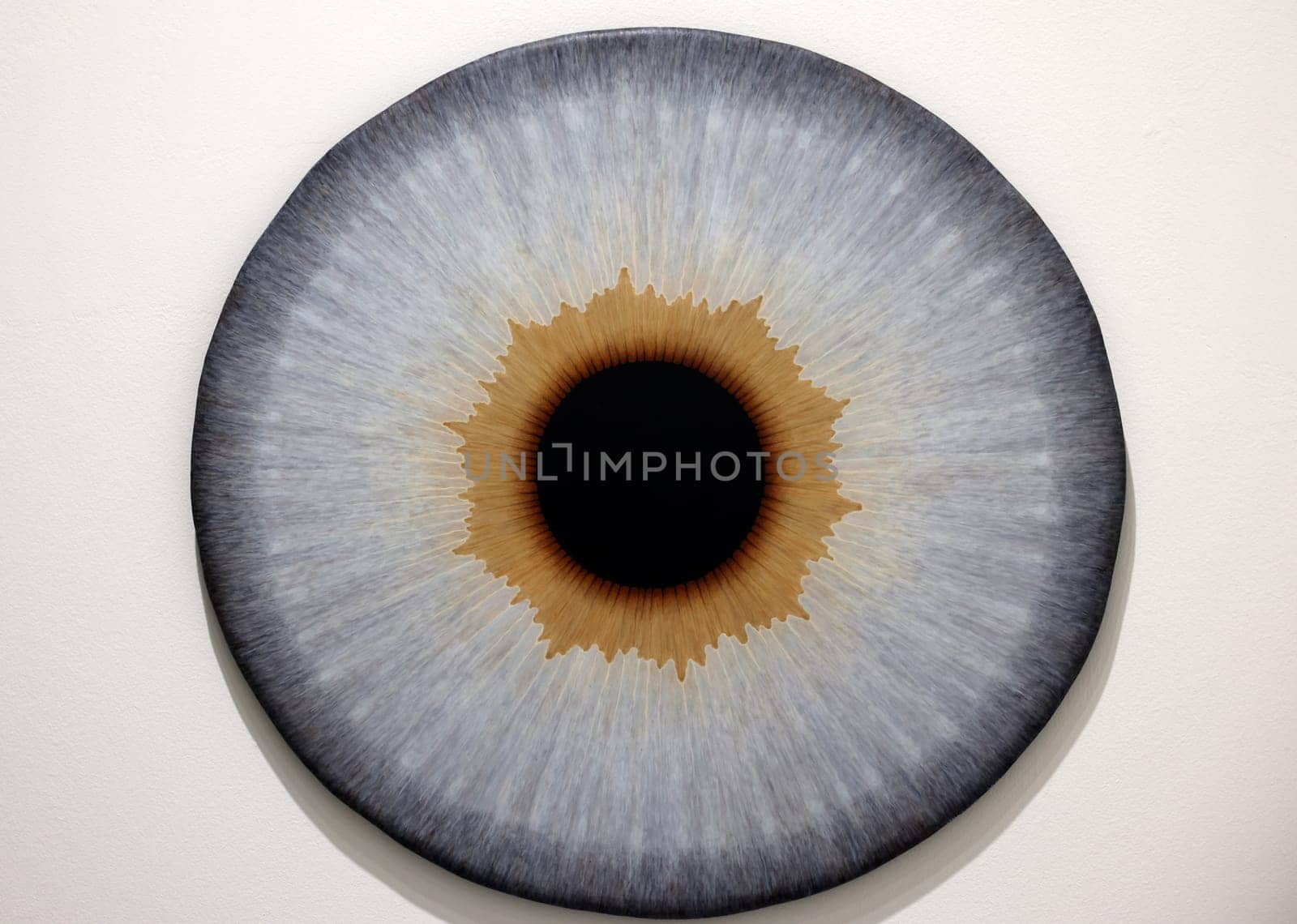 Venice, Italy - Septr 6, 2022: 59th Venice Art Biennale in Venice.A series of eyeball paintings entitled Iris by Swedish artist Ulla Wiggen. Acrylic on panel