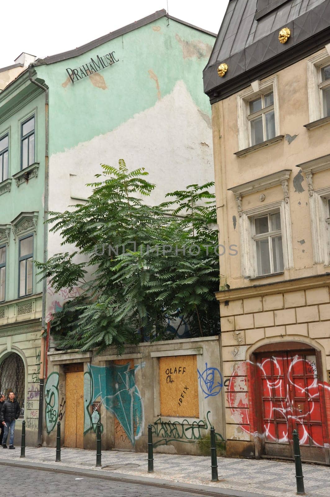 Vertical street view with graffiti on old buildings in Prague, Czech Republic