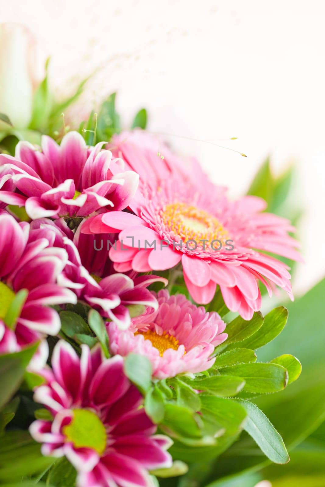Colorful summer flowers in the bouquet in detail