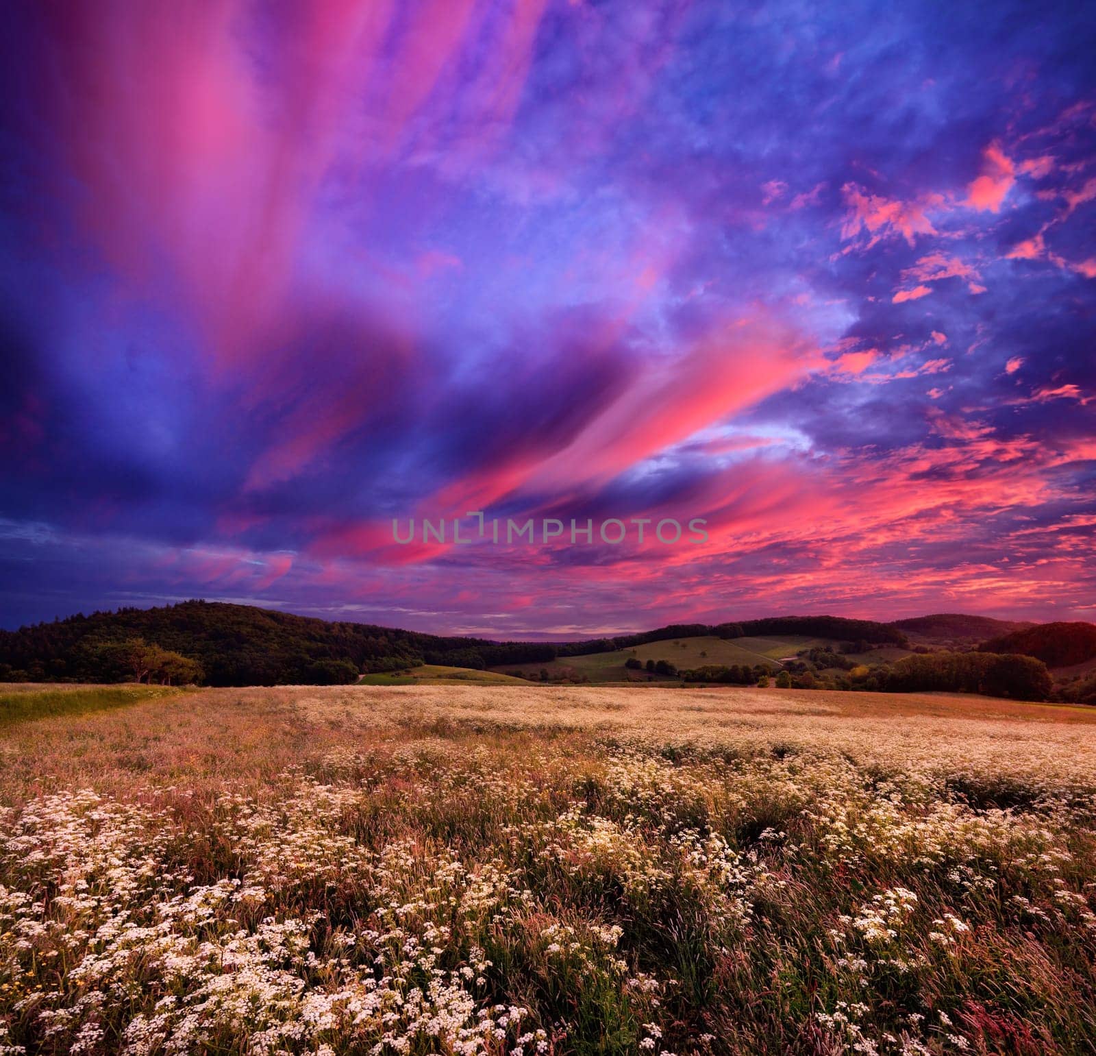 Gorgeous colorful sunrise with red clouds over blossoming meadows and a range of hills on the horizon