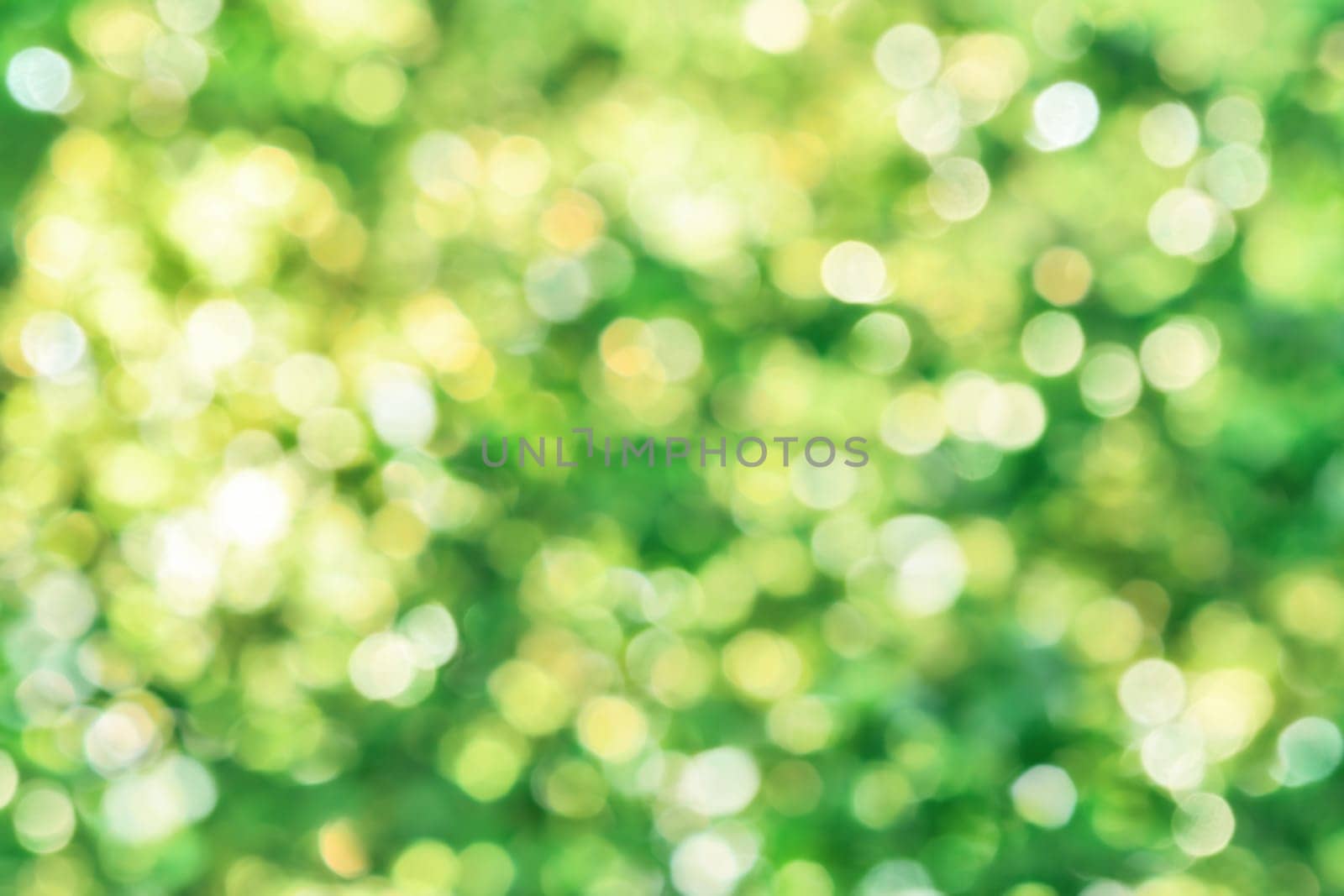Shining defocused highlights in foliage create a vibrant bokeh composition,ideal as a nature background