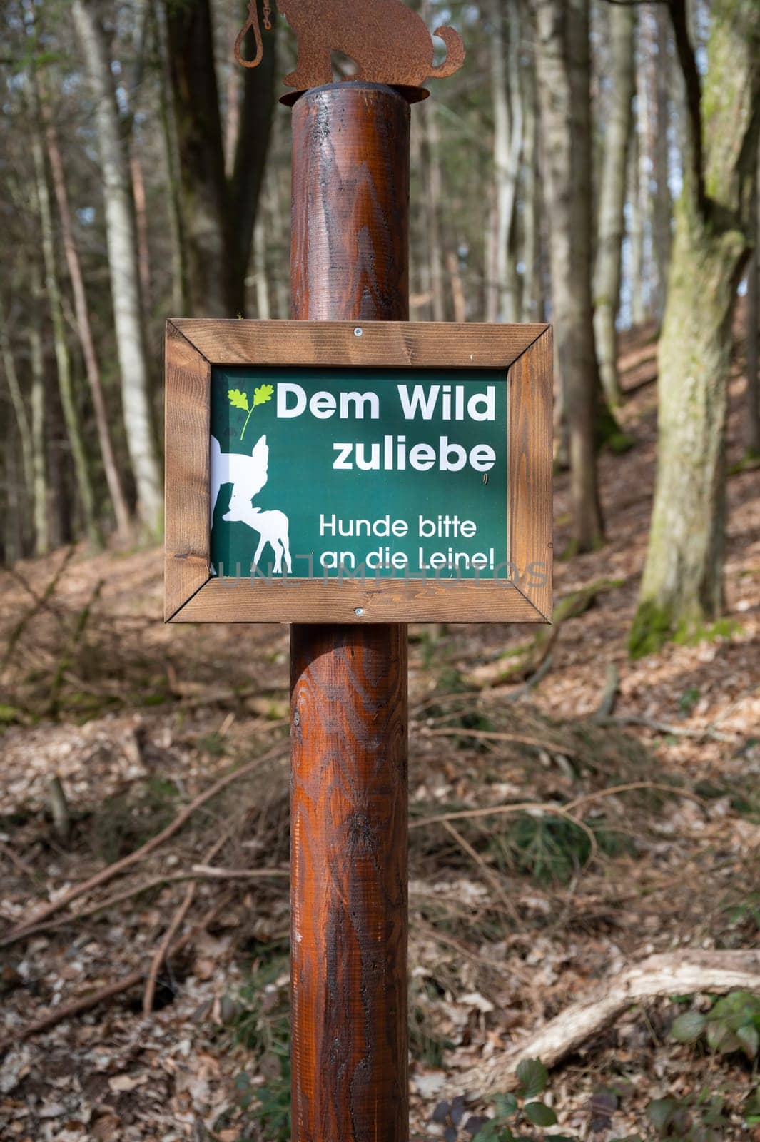 German sign at a wildlife park For the sake of the wild, please keep the dogs on a leash, vertical shot