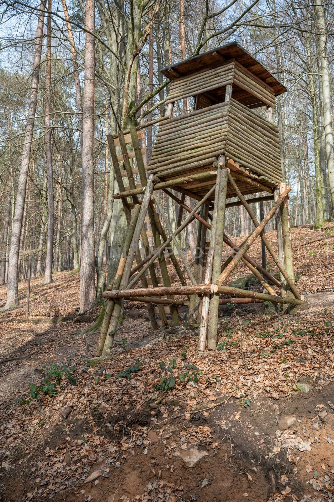 Deer stand made of wood in the woods, standing on a hill, low angle view, forest in the background, vertical shot