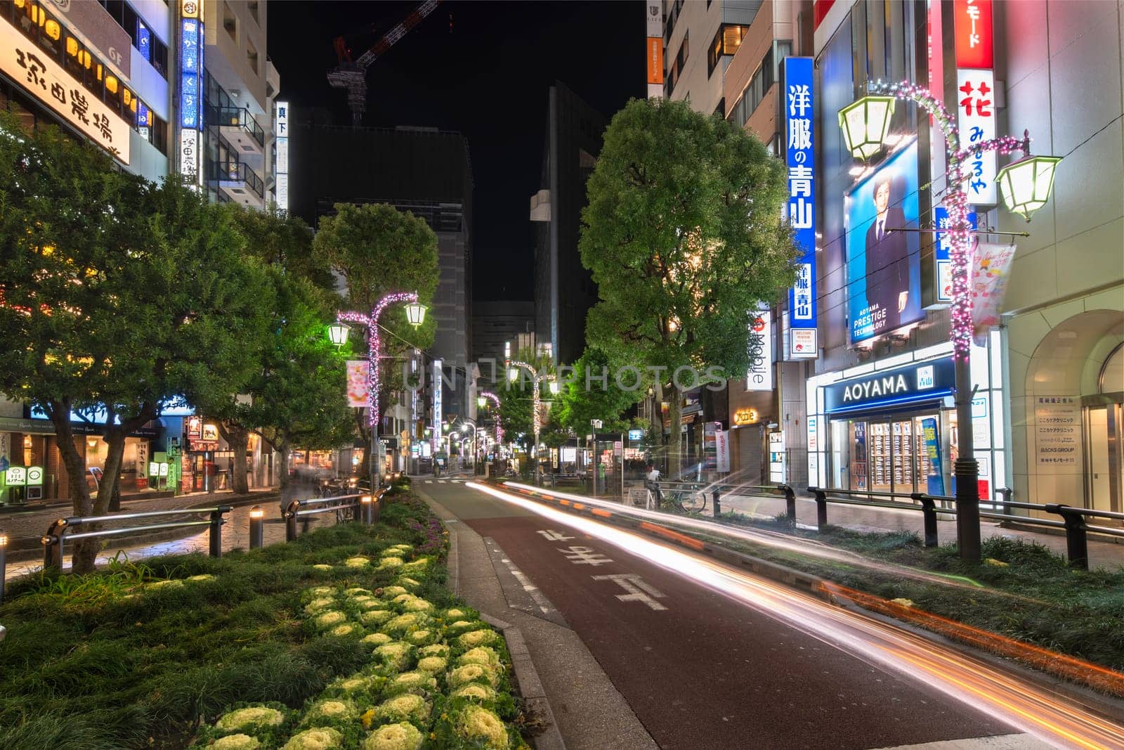 ikebukuro, japan - december 31 2012: Night view of the sidewalk of the Sunshine Street at the east exit of Ikebukuro station decorated with grasses and Kale or leaf cabbage.