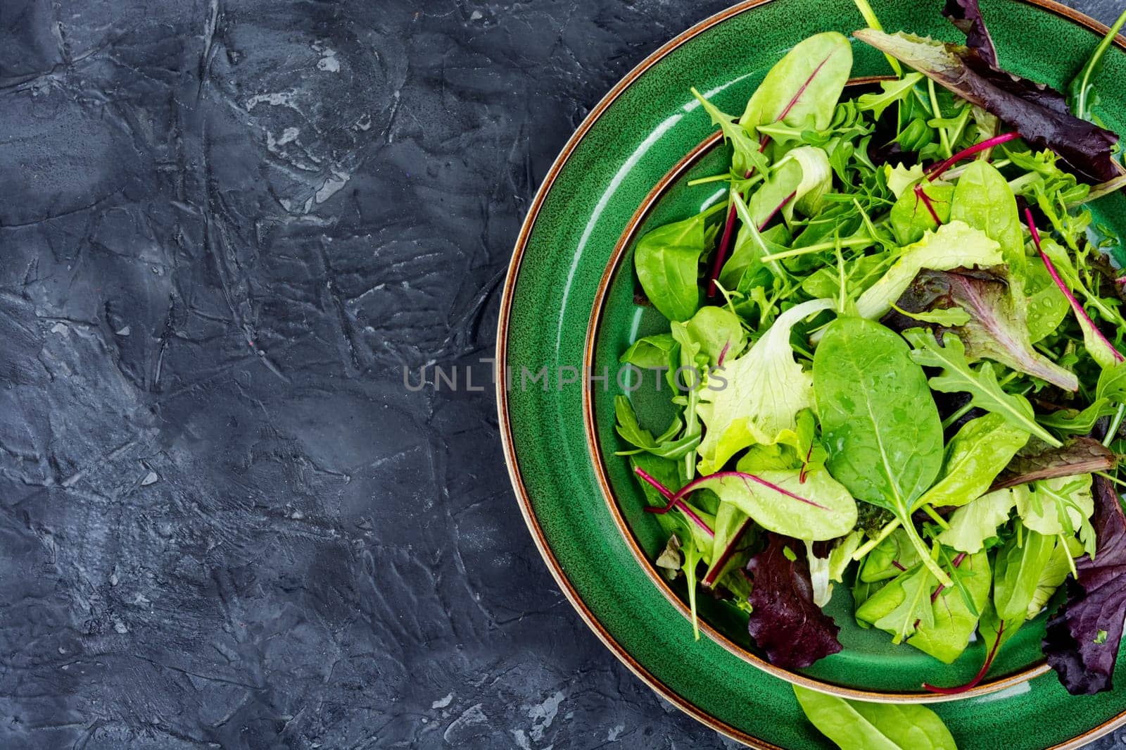 Mix of fresh salad leaves on the plate. Green food.