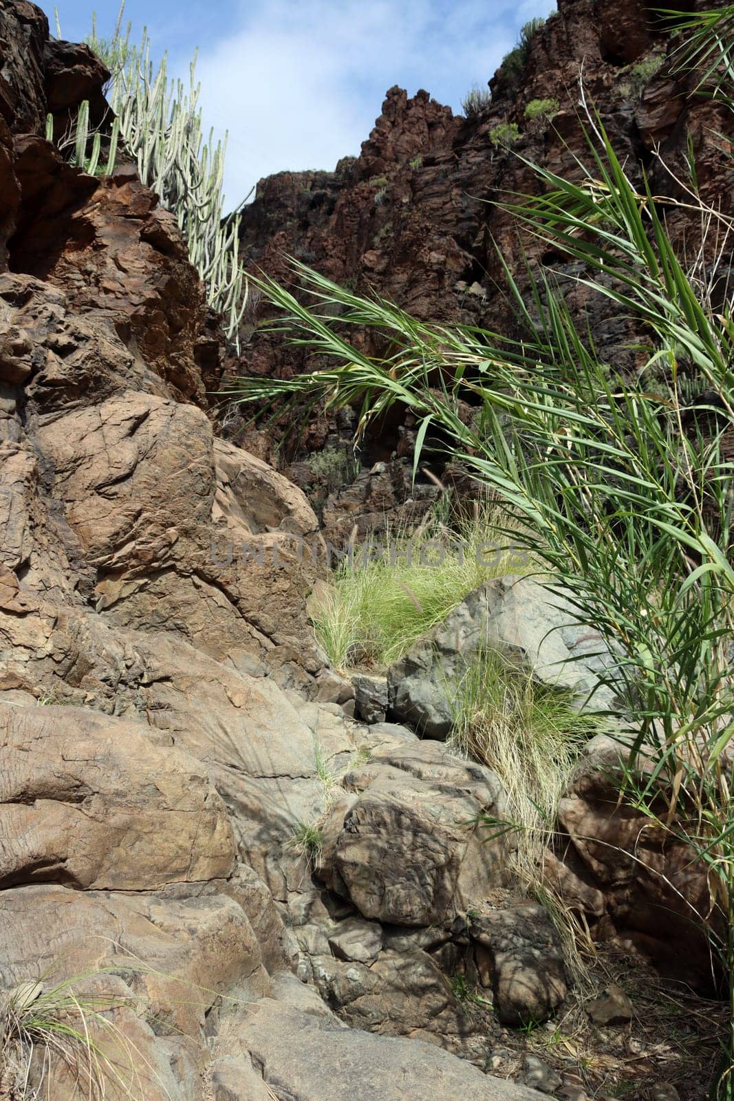 Barranco del Toro - Stierschlucht, Gran Canaria, Spanien, San Agustin