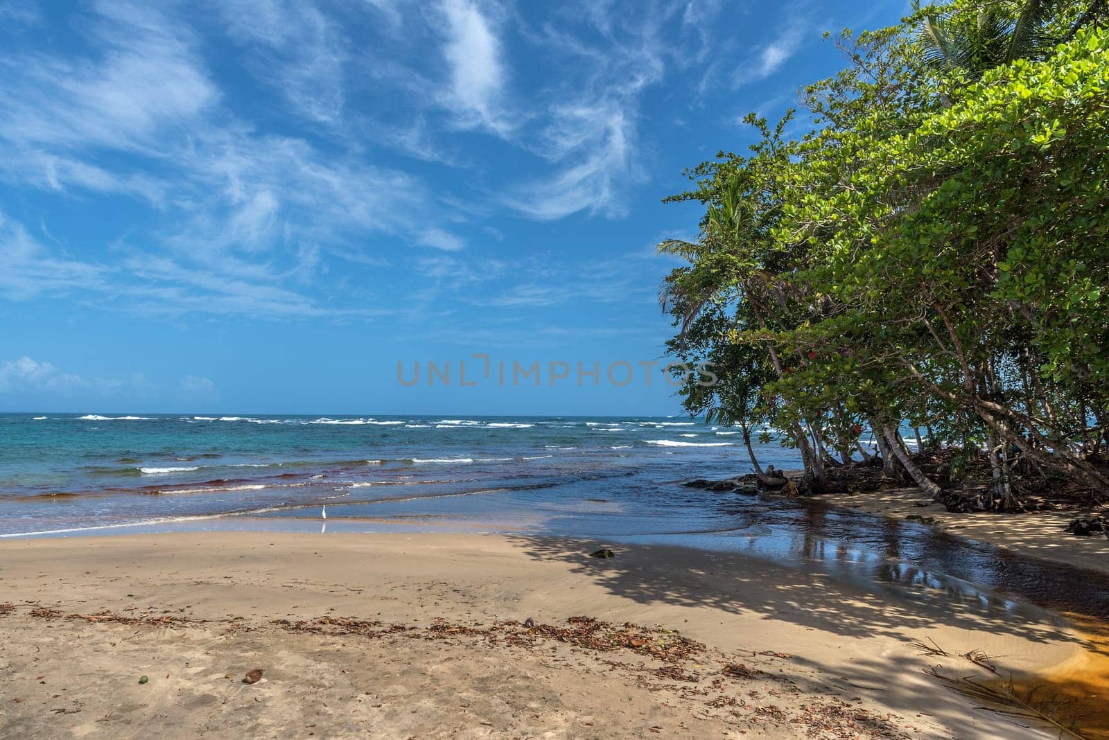 Caribbean beach near Puerto Viejo, Costa Rica