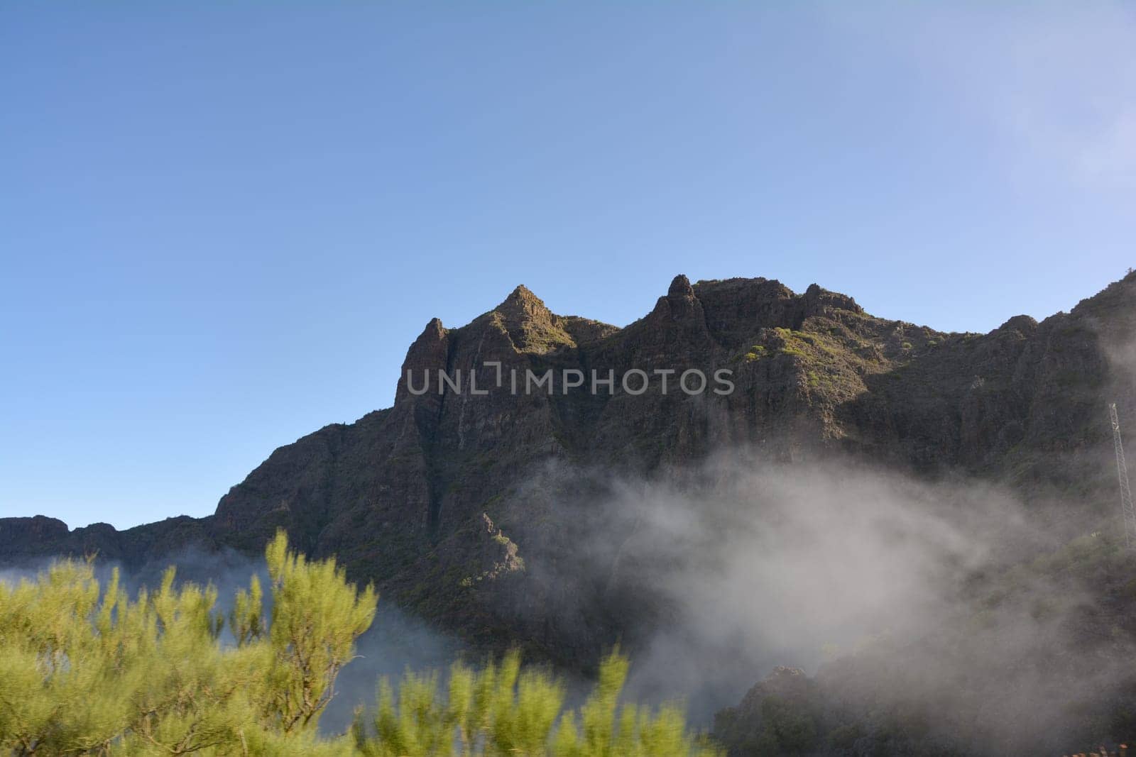 Fog in the green Teno Mountains near Masca on the Canary Island of Tenerife, Spain