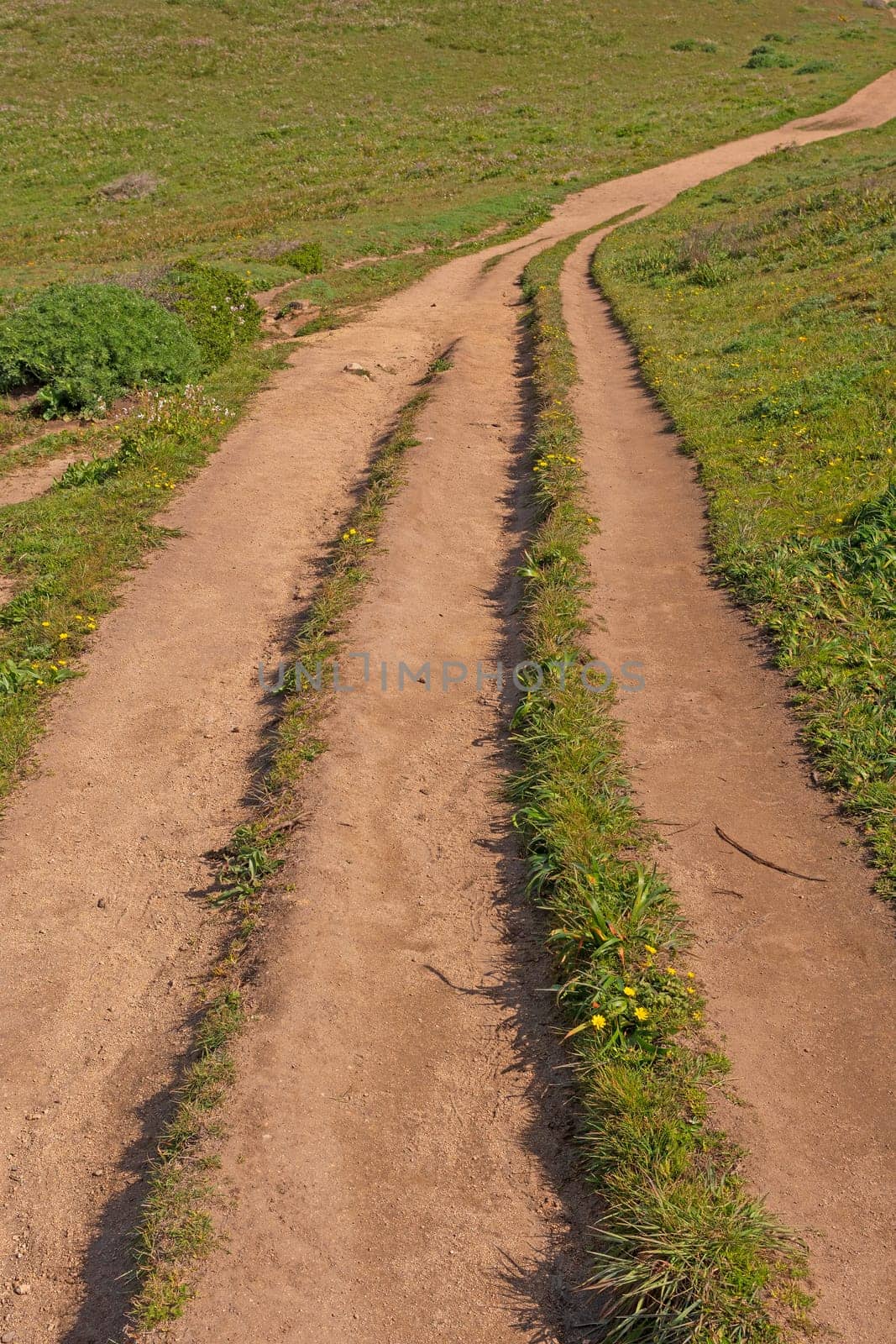 Lonely Track on a Coastal Ridge in Point Reyes National Seashore in California