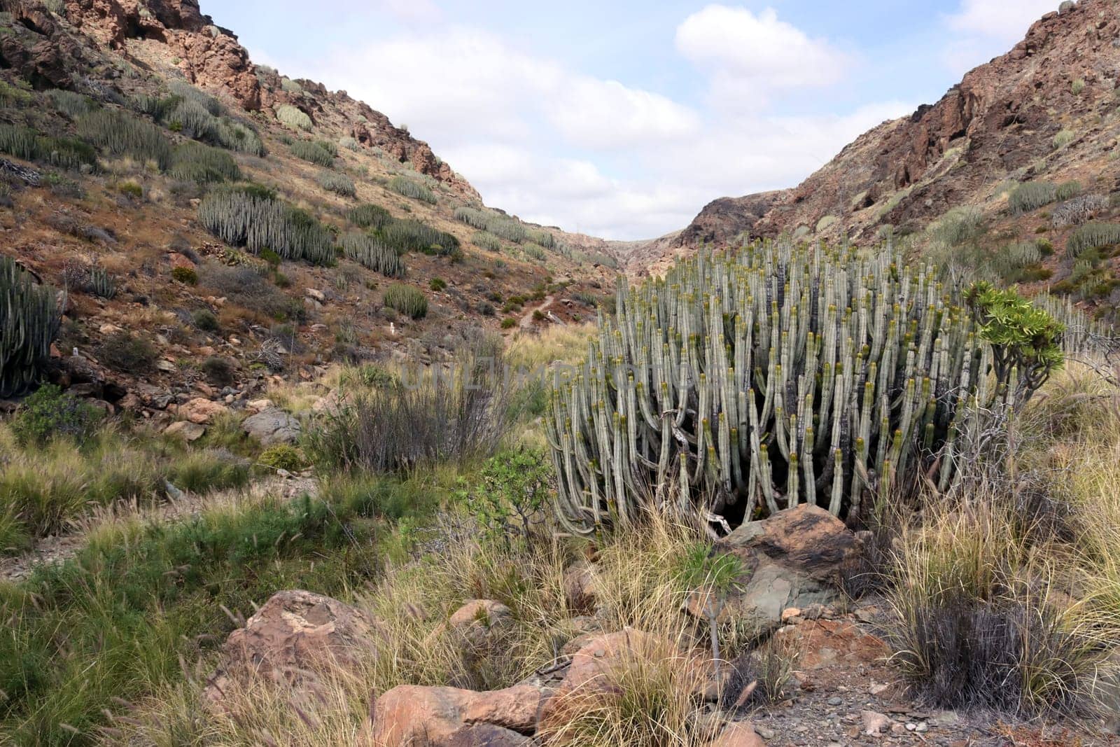 Barranco de los Guinchos , Gran Canaria, Spanien, San Agustin