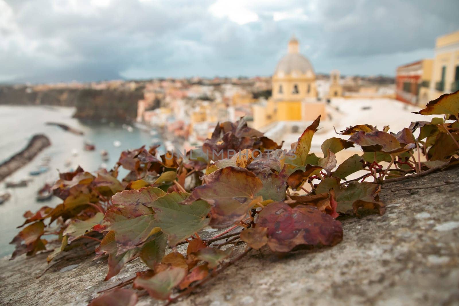 View of the Port of Corricella with lots of colorful houses on a sunny day in Procida Island, Italy.