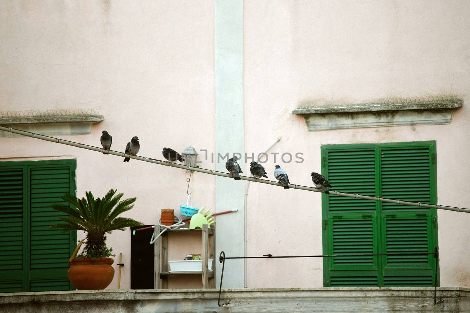 Procida island with colorful houses in small town street