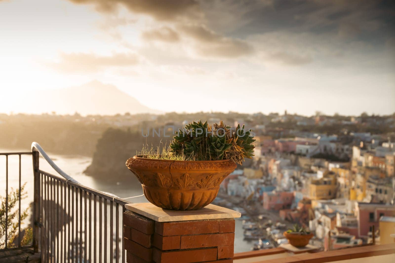 Vintage pot with cactus with colorful houses of Procida in the background.