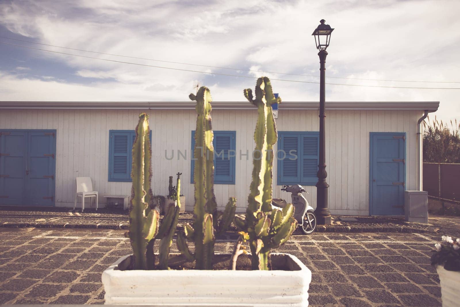 Blue door with cactus and the traditional white walls in the Procida Island, Italy