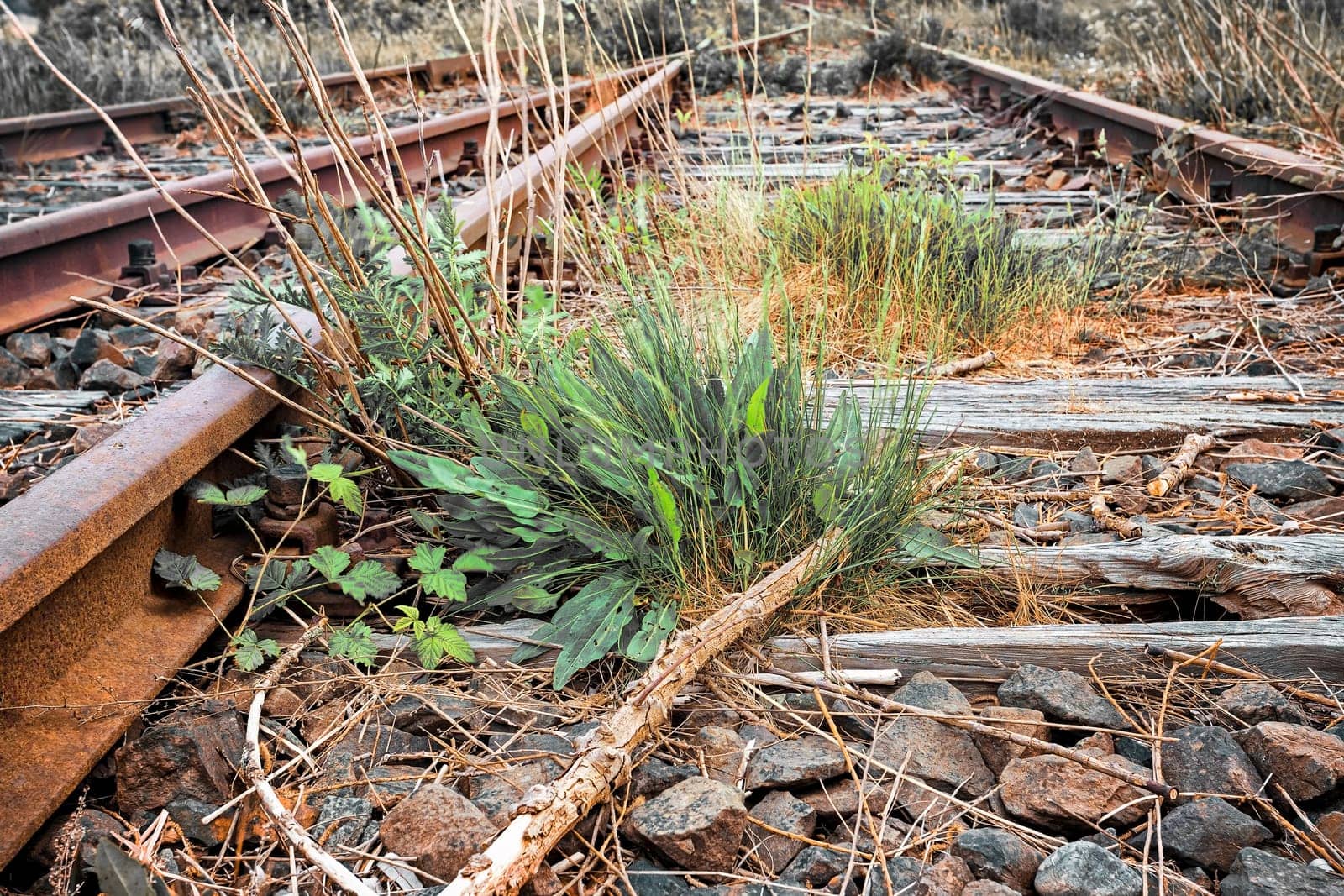 Former train line of the Darßbahn in Bresewitz, just before the Meiningen Bridge to the Fischland-Darß peninsula, Mecklenburg-West Pomerania, Germany