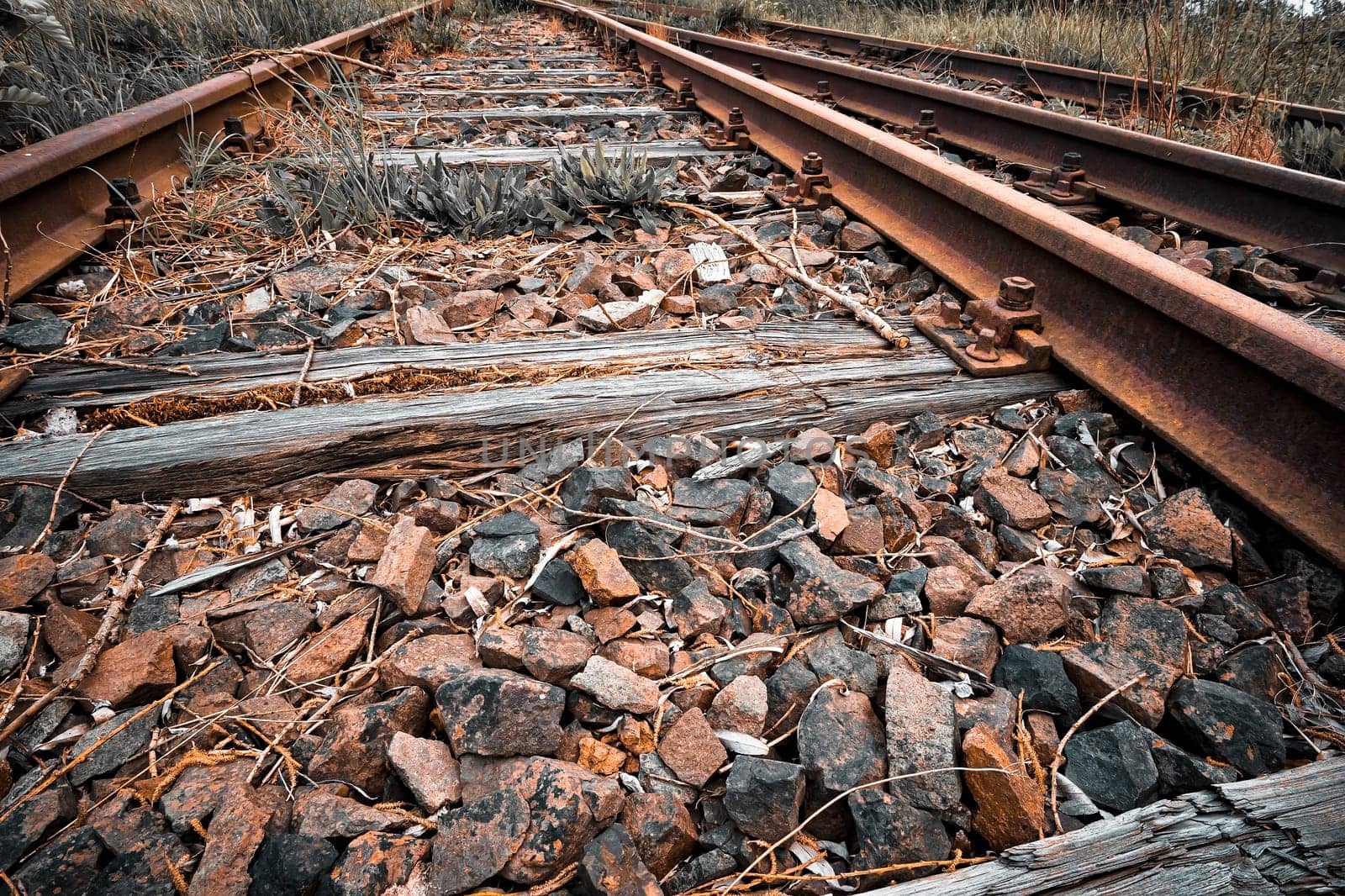 Former train line of the Darßbahn in Bresewitz, just before the Meiningen Bridge to the Fischland-Darß peninsula, Mecklenburg-West Pomerania, Germany