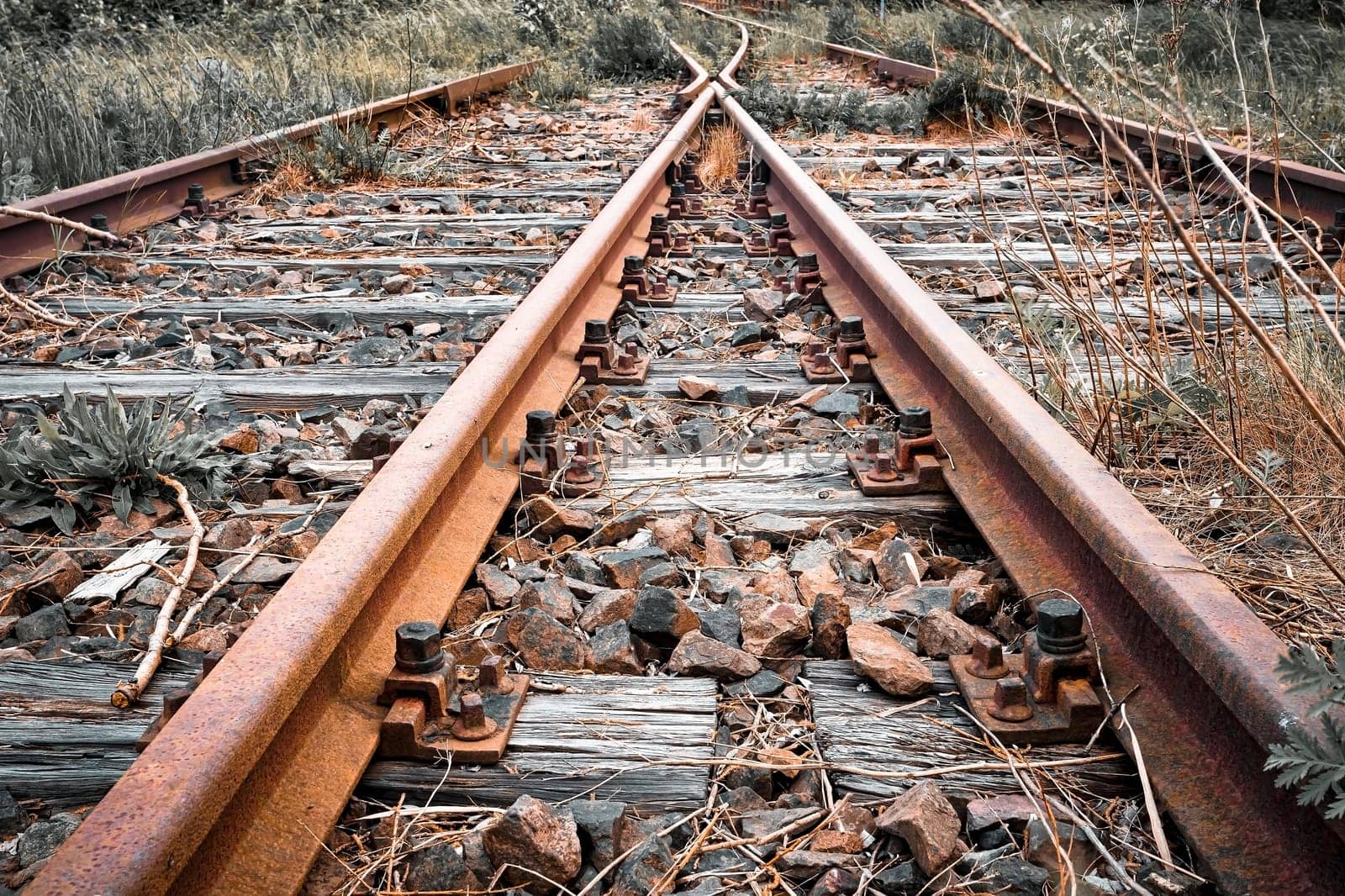 Former train line of the Darßbahn in Bresewitz, just before the Meiningen Bridge to the Fischland-Darß peninsula, Mecklenburg-West Pomerania, Germany