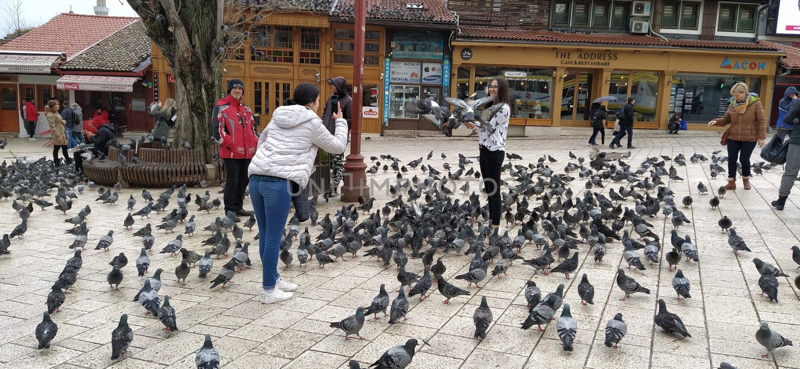 Sarajevo, Bosnia and Herzegovina, March 8, 2020, people walk the central streets of Sarajevo feeding pigeons. Bascarsija and square. Islamic landmarks and tourist sites. Birds walk on the pavement.