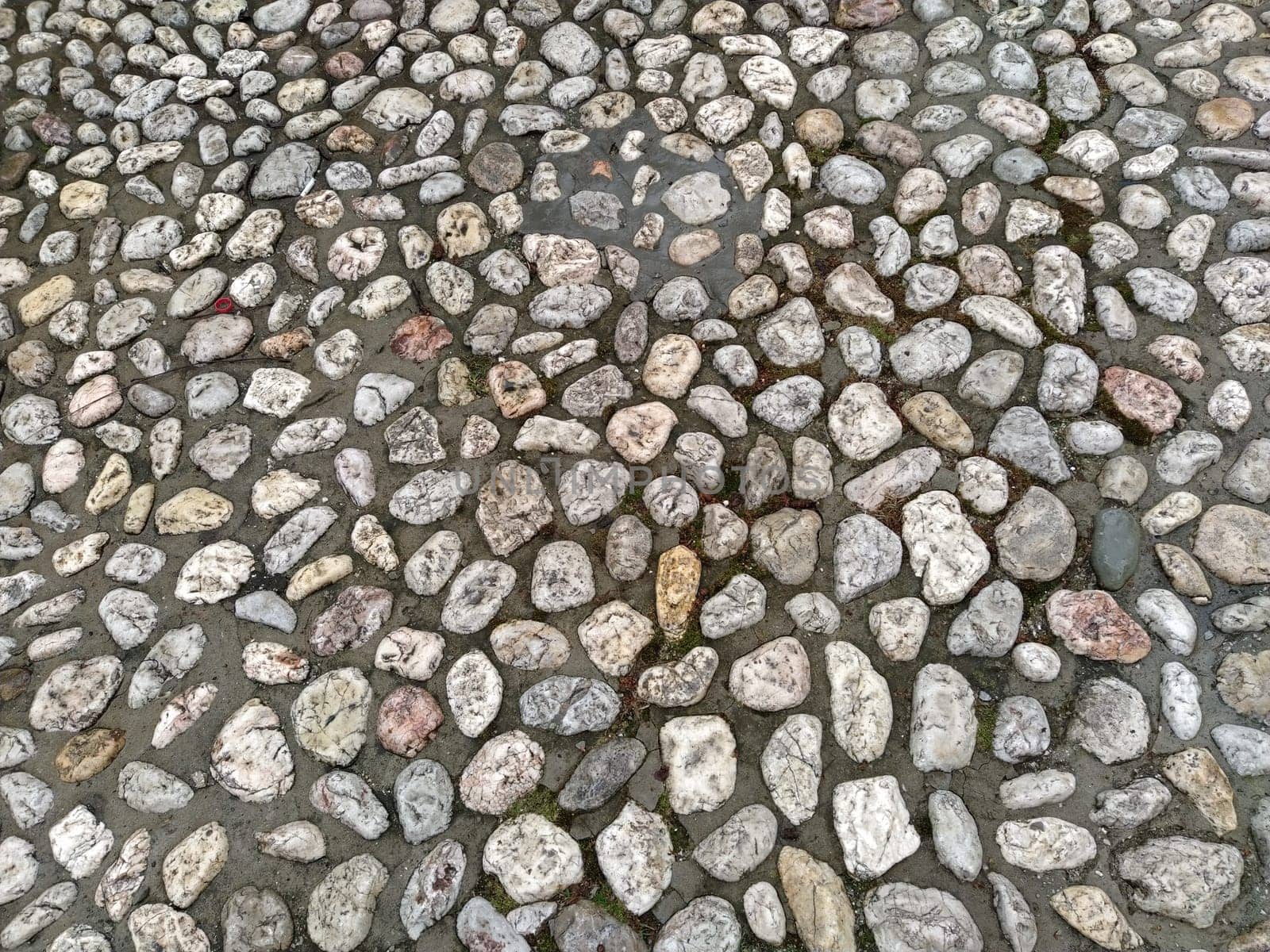 Paving stones made of round light stones similar to marble. Paved square in the old town of Sarajevo, Bosnia and Herzegovina. Beautiful wet shiny stones after rain. Close-up in natural daylight.