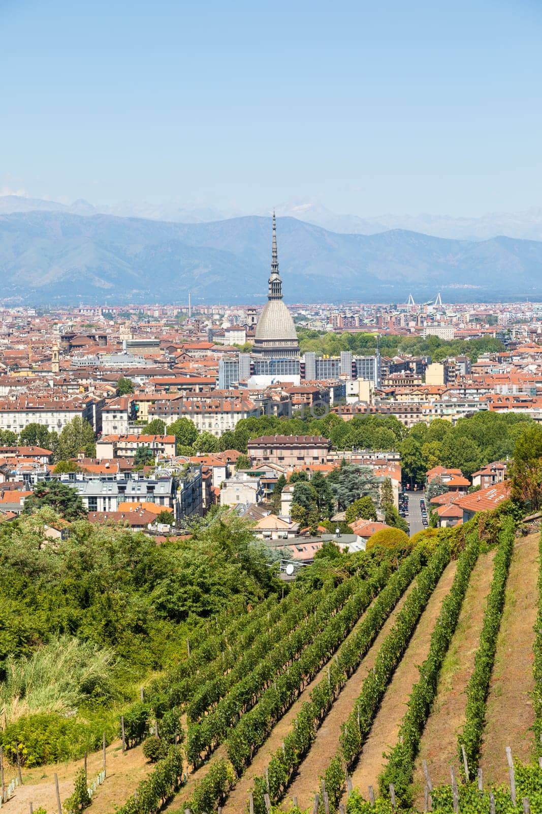 Turin, Italy - August 2022: panorama with Mole Antonelliana monument, wineyard and Alps mountains