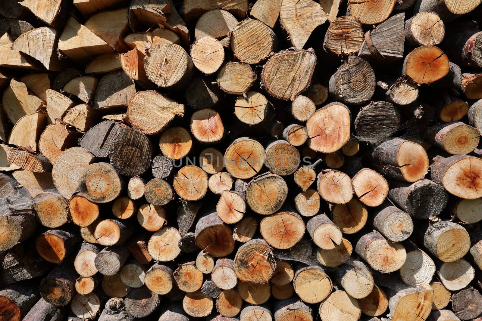 stack of firewood prepared for winter