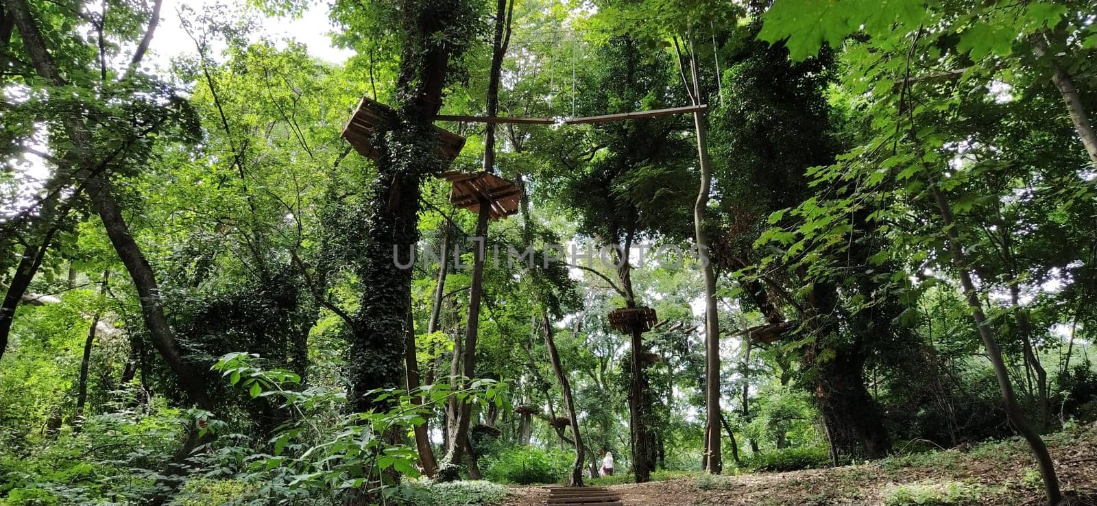 Go Ape Adventure. Located in national parks and local recreational facilities, Wooden and rope structures for movement