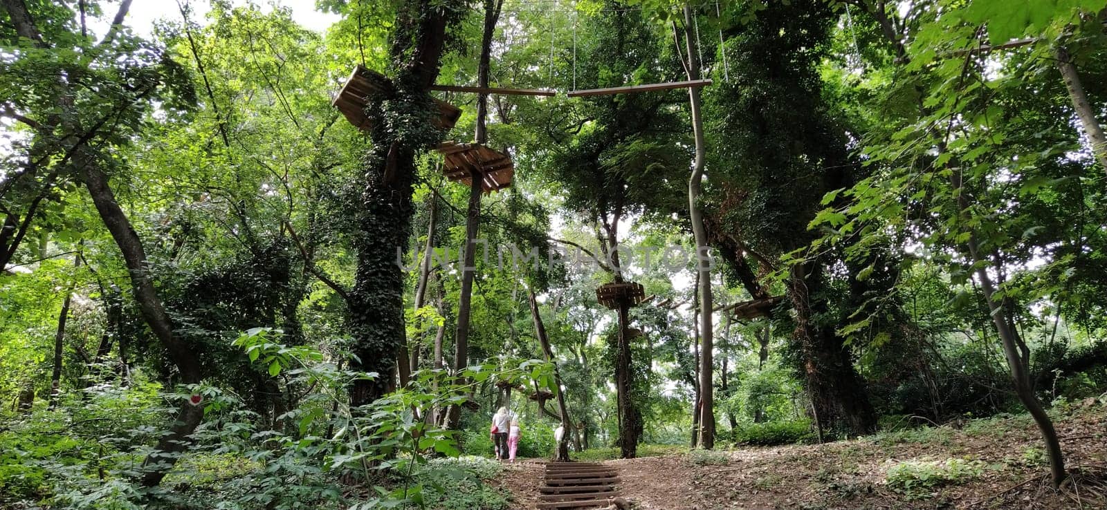 Go Ape Adventure. Located in national parks and local recreational facilities, Wooden and rope structures for movement