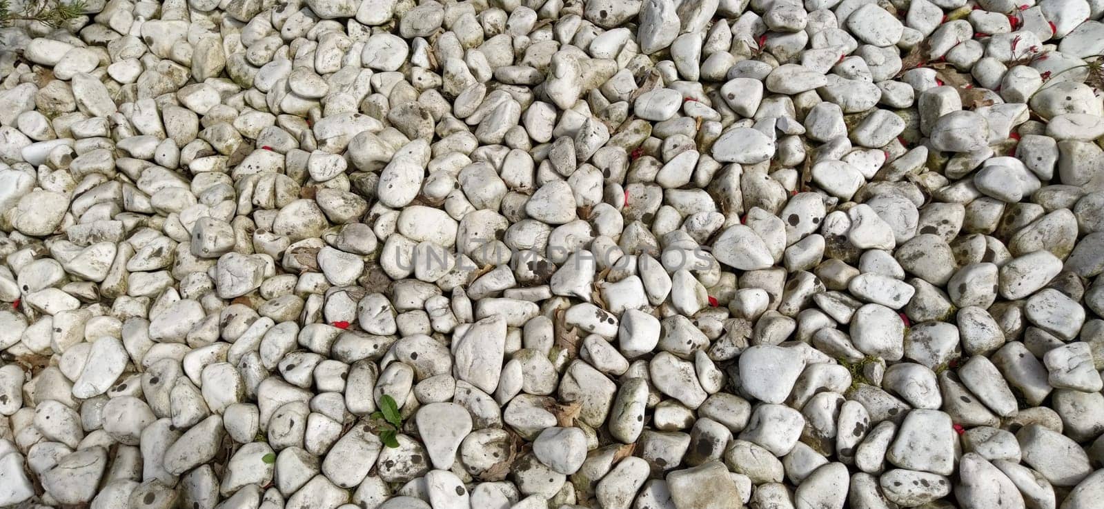 Sea stones background. Rounded stones texture. Colored cobblestone. Wall of stones of a white color.