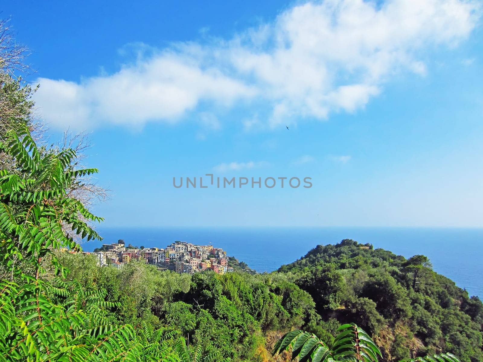 View of the  Corniglia on Italian Coast