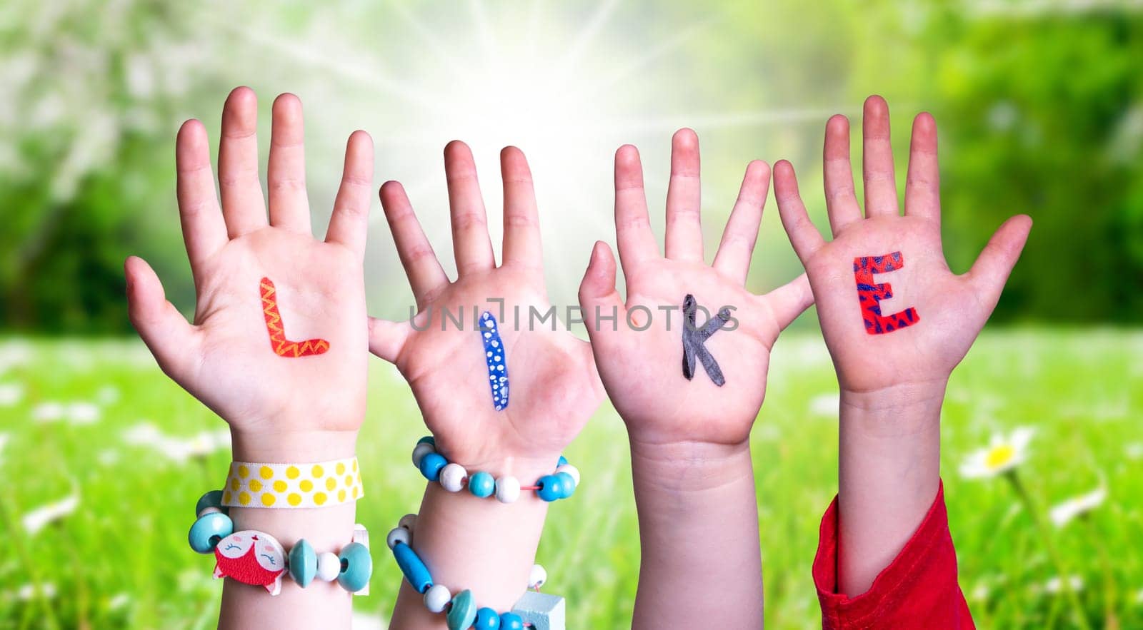 Children Hands Building Colorful English Word Like. Sunny Green Grass Meadow As Background.