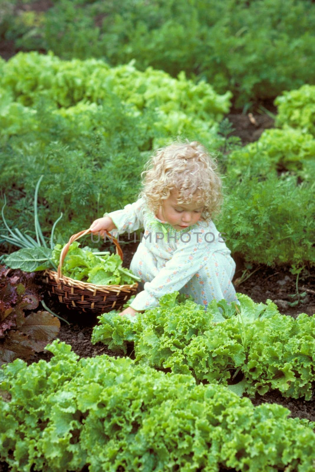 Sara in the garden