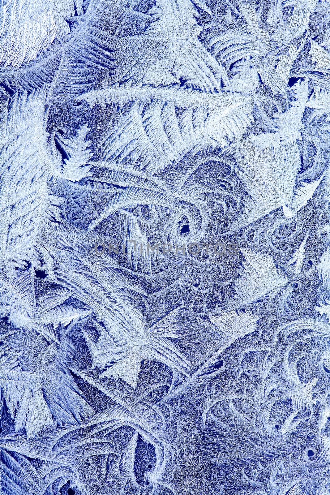Frost