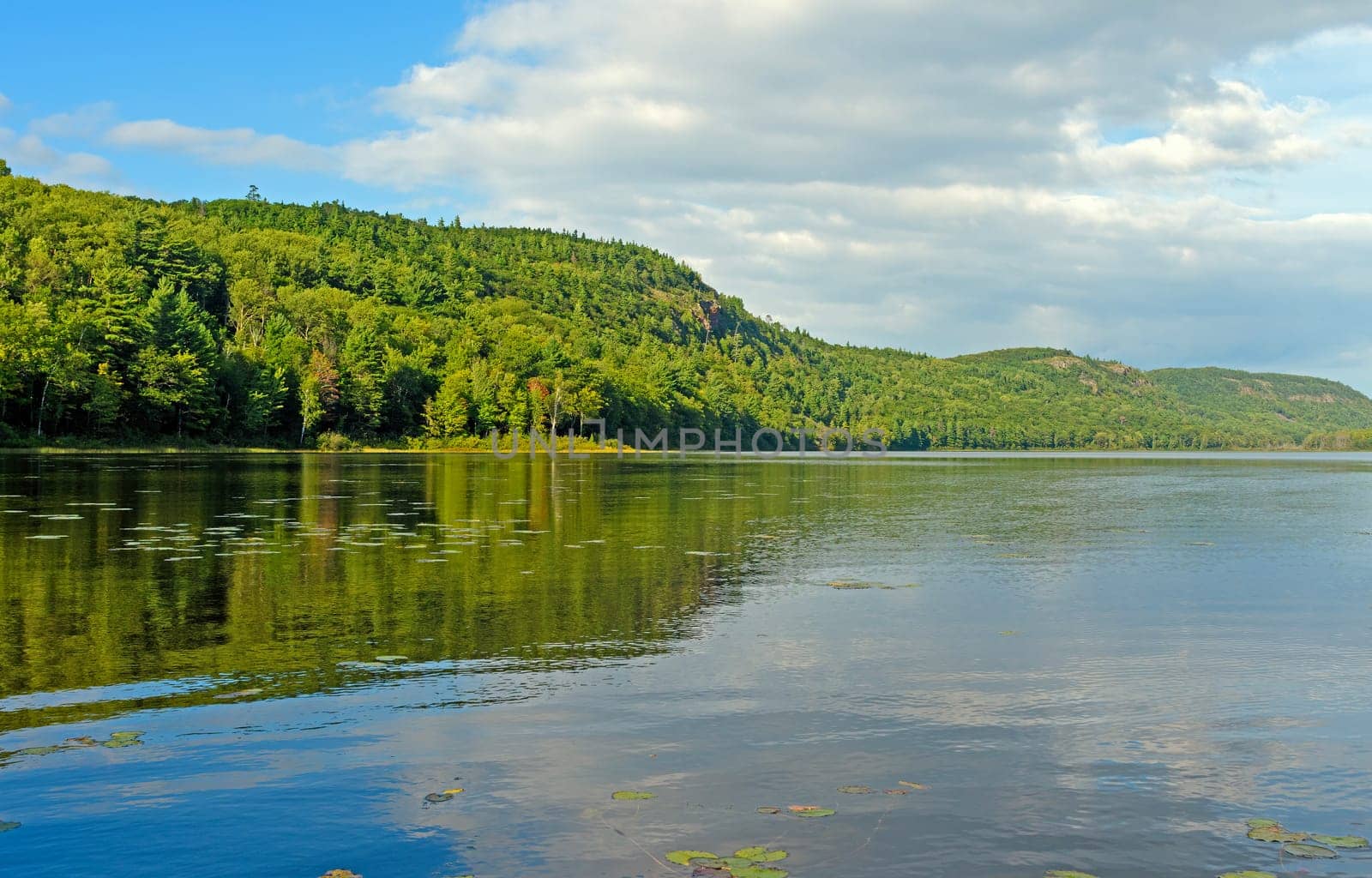 Green Forests on a Calm Lake on Lake of the Clouds in the Porcupine Mountains in Michigan