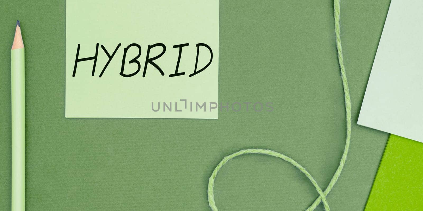Text sign showing Hybrid, Business approach offspring of two plants or animals of different species or varieties