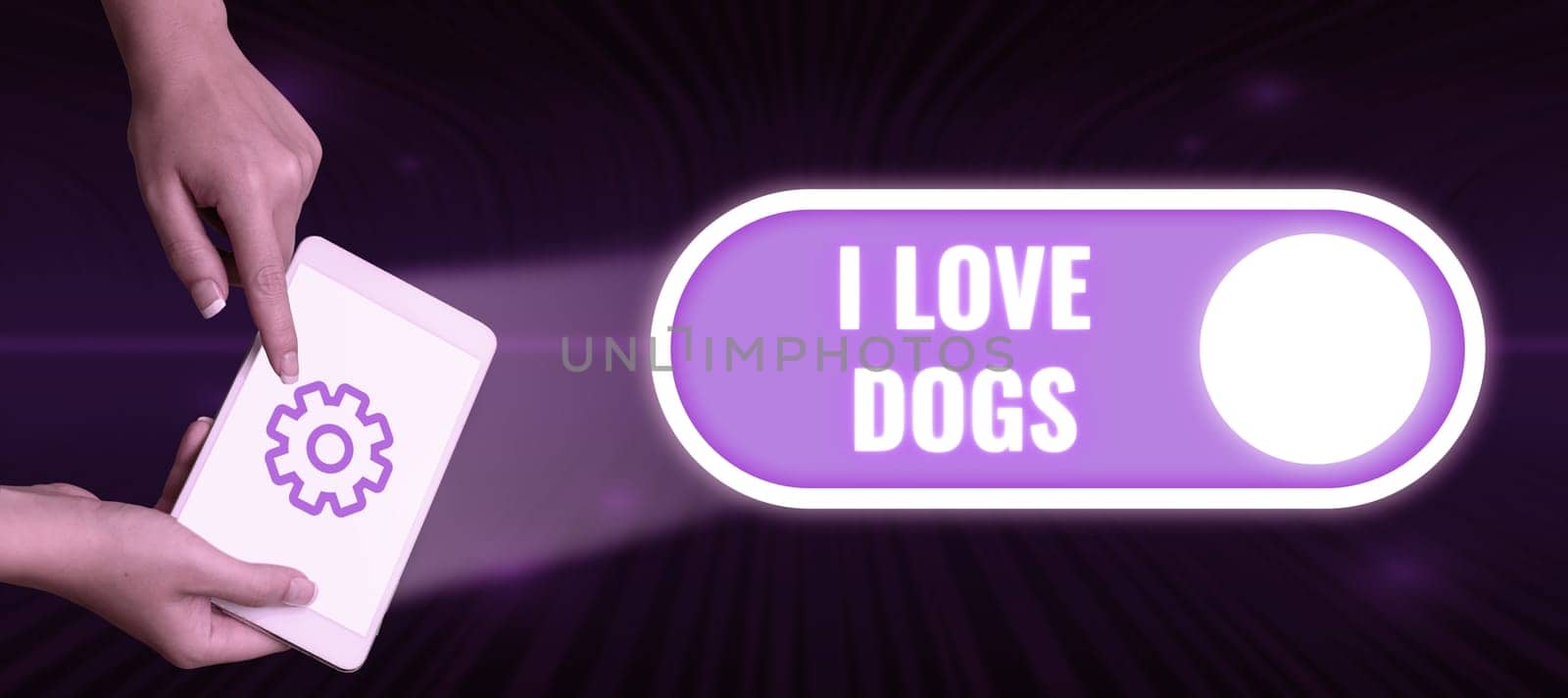 Text showing inspiration I Love Dogs, Concept meaning Have good feelings towards canines To like pets animals