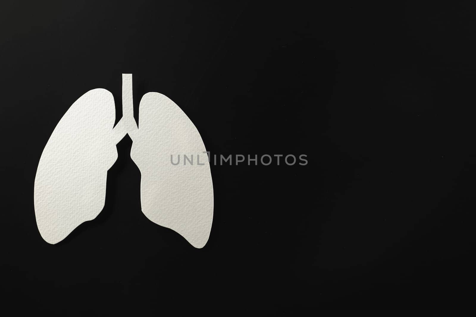 Lungs paper cutting symbol on black background, copy space, concept of world TB day, banner background design, respiratory diseases, lung cancer awareness, Healthcare, World tuberculosis day