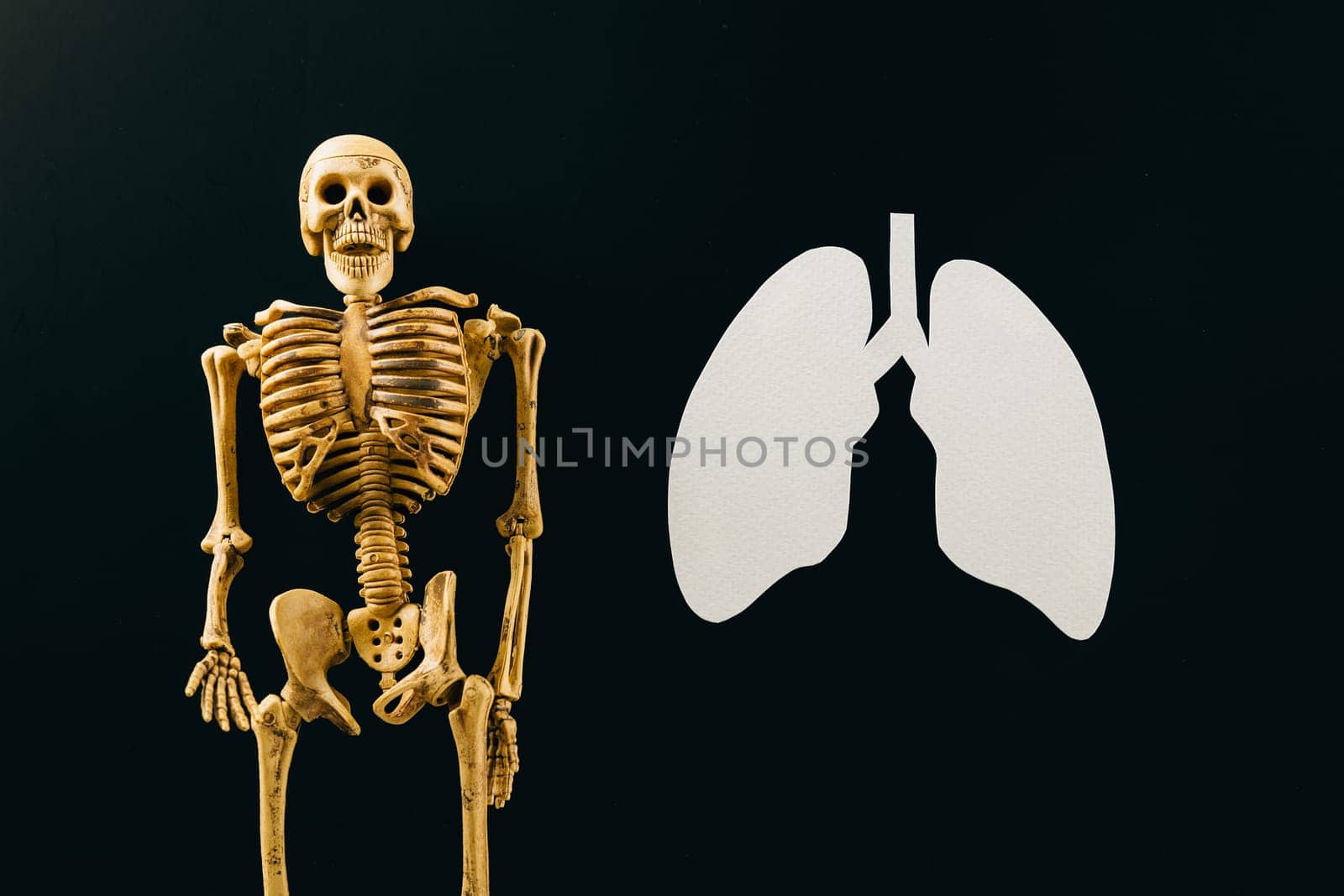 World Tuberculosis Day. Top view lungs paper symbol and skeleton on black background, lung cancer awareness, copy space concept of world TB day, banner background, no tobacco for respiratory